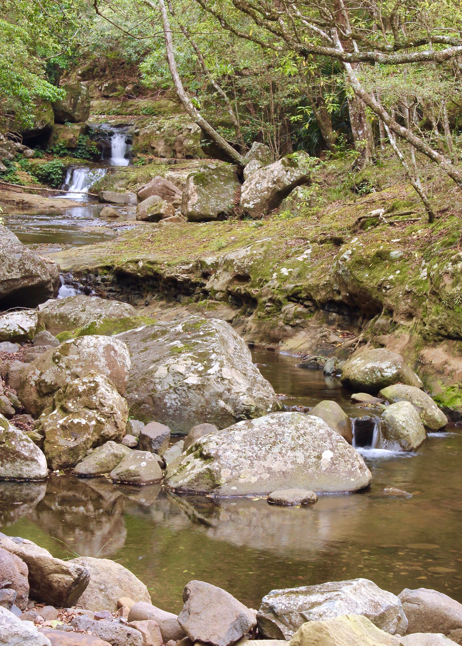 Canon EOS 1300D (EOS Rebel T6 / EOS Kiss X80) sample photo. Waterfall, rainforest, nature photography