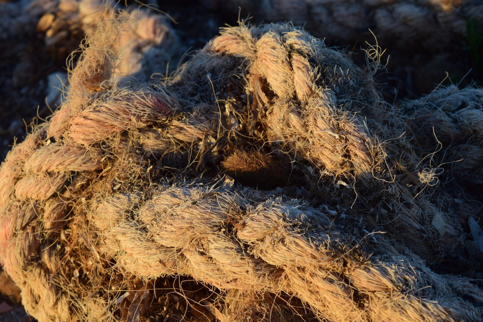 Nikon D3300 sample photo. Rope, dew, twisted ropes photography