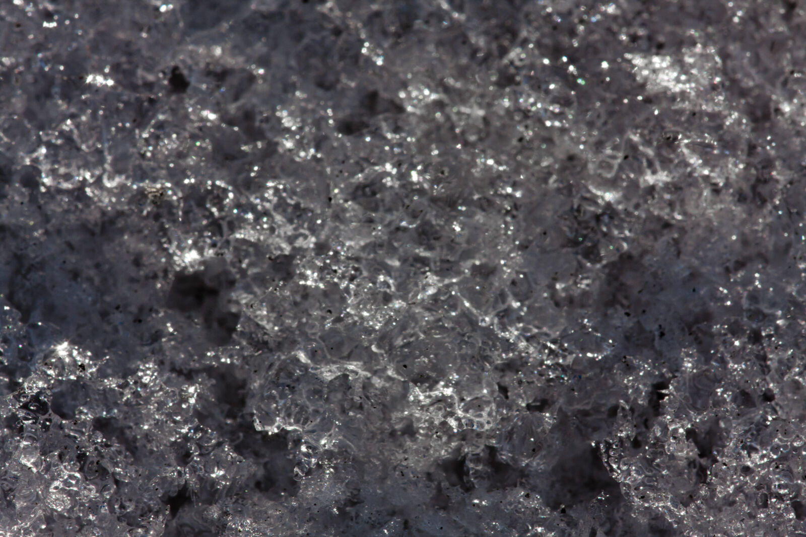 Canon EF 180mm F3.5L Macro USM sample photo