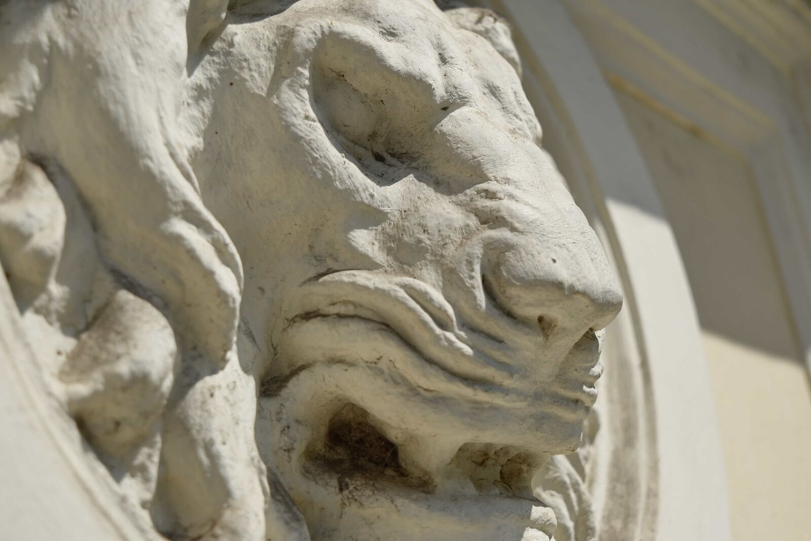 Nikon D5500 sample photo. Lion, profile, sculpture, wall photography