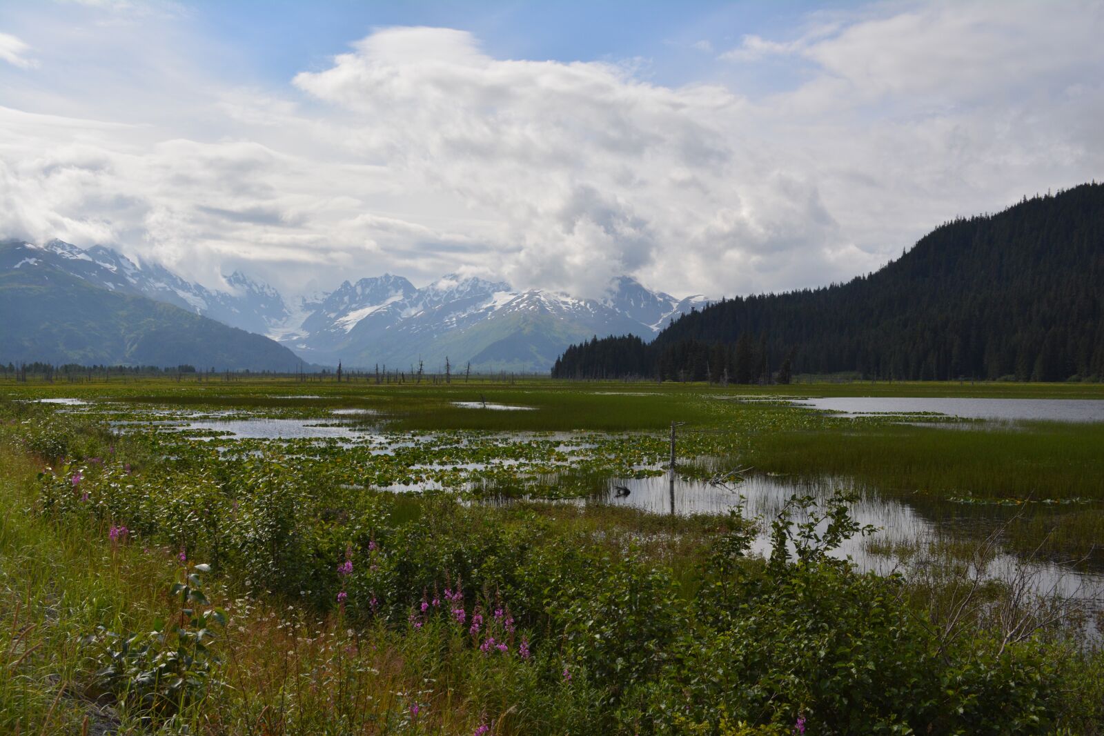 Nikon D5200 sample photo. Kenai peninsula, alaska, mountain photography