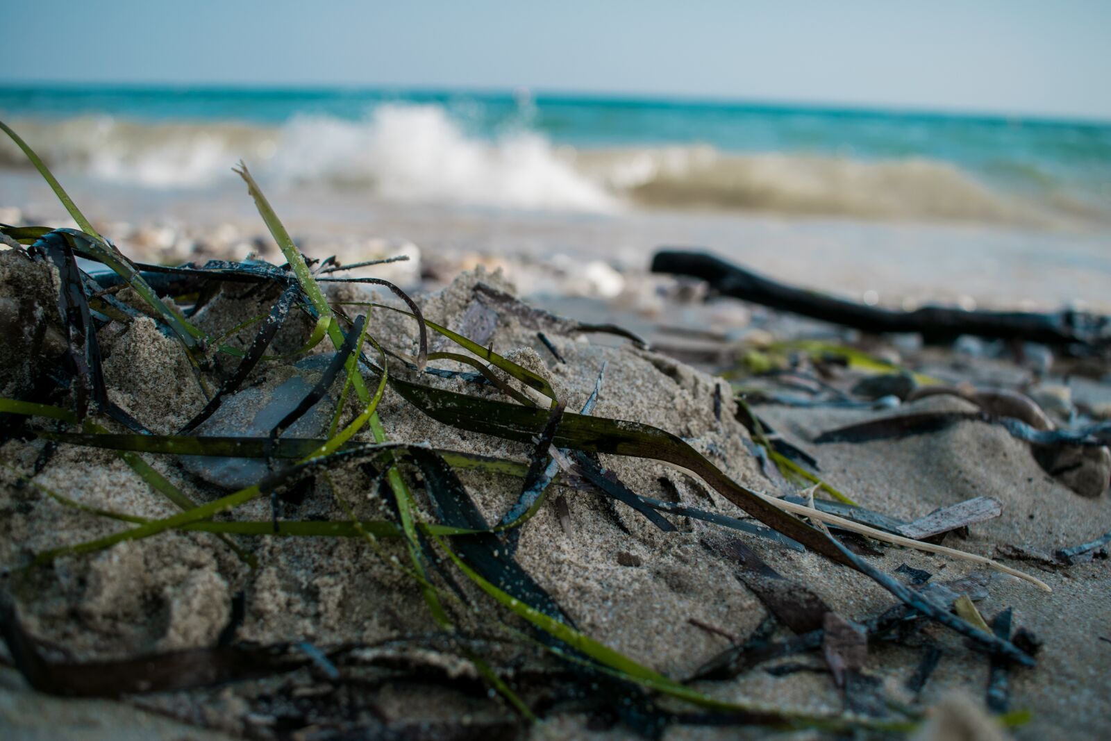 Nikon D3300 sample photo. Sea, grass, beach photography