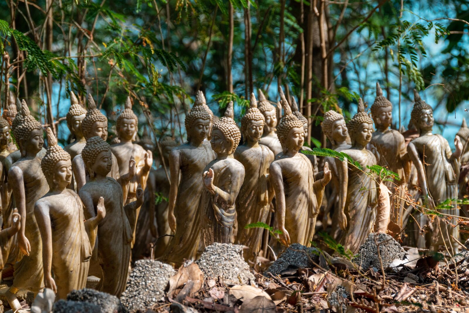 Nikon D5600 sample photo. Buddha, statue, temple photography
