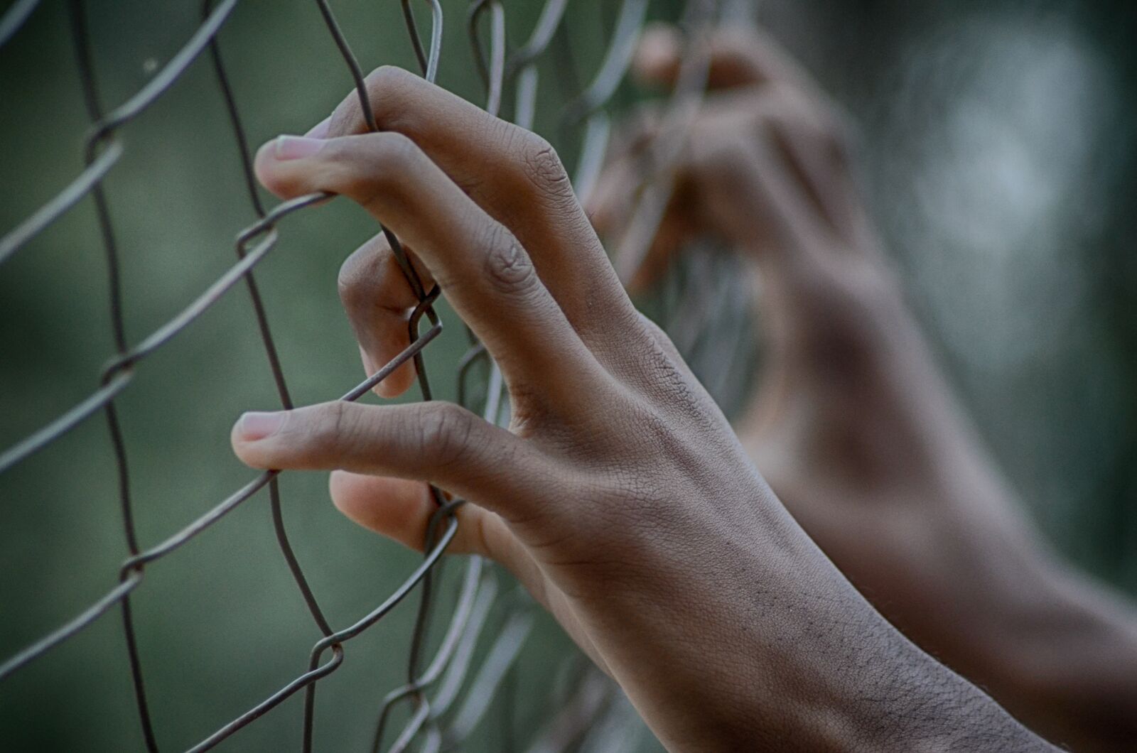 Nikon D5100 sample photo. Fence, freedom, prison photography