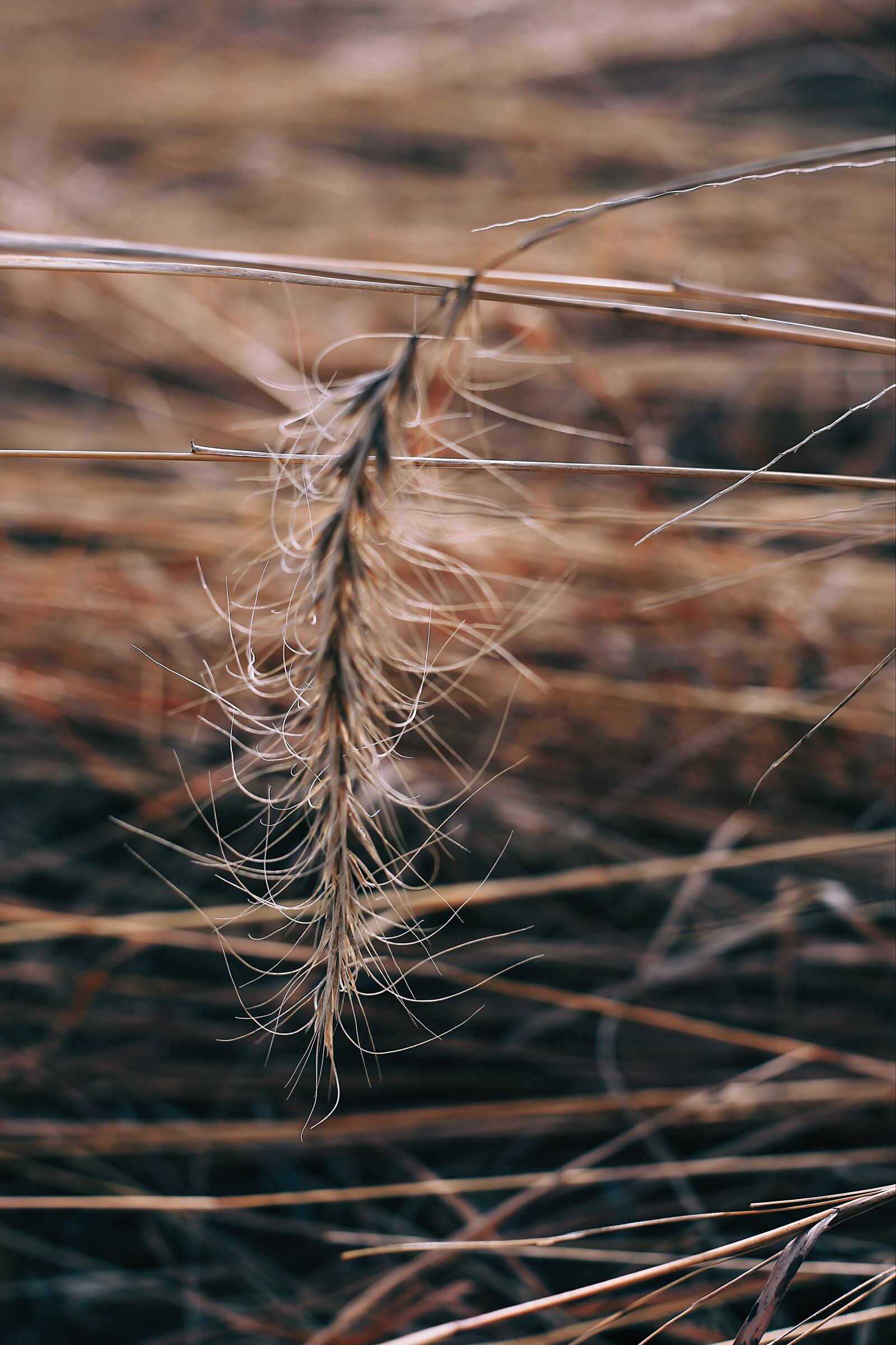 Canon EOS 6D sample photo