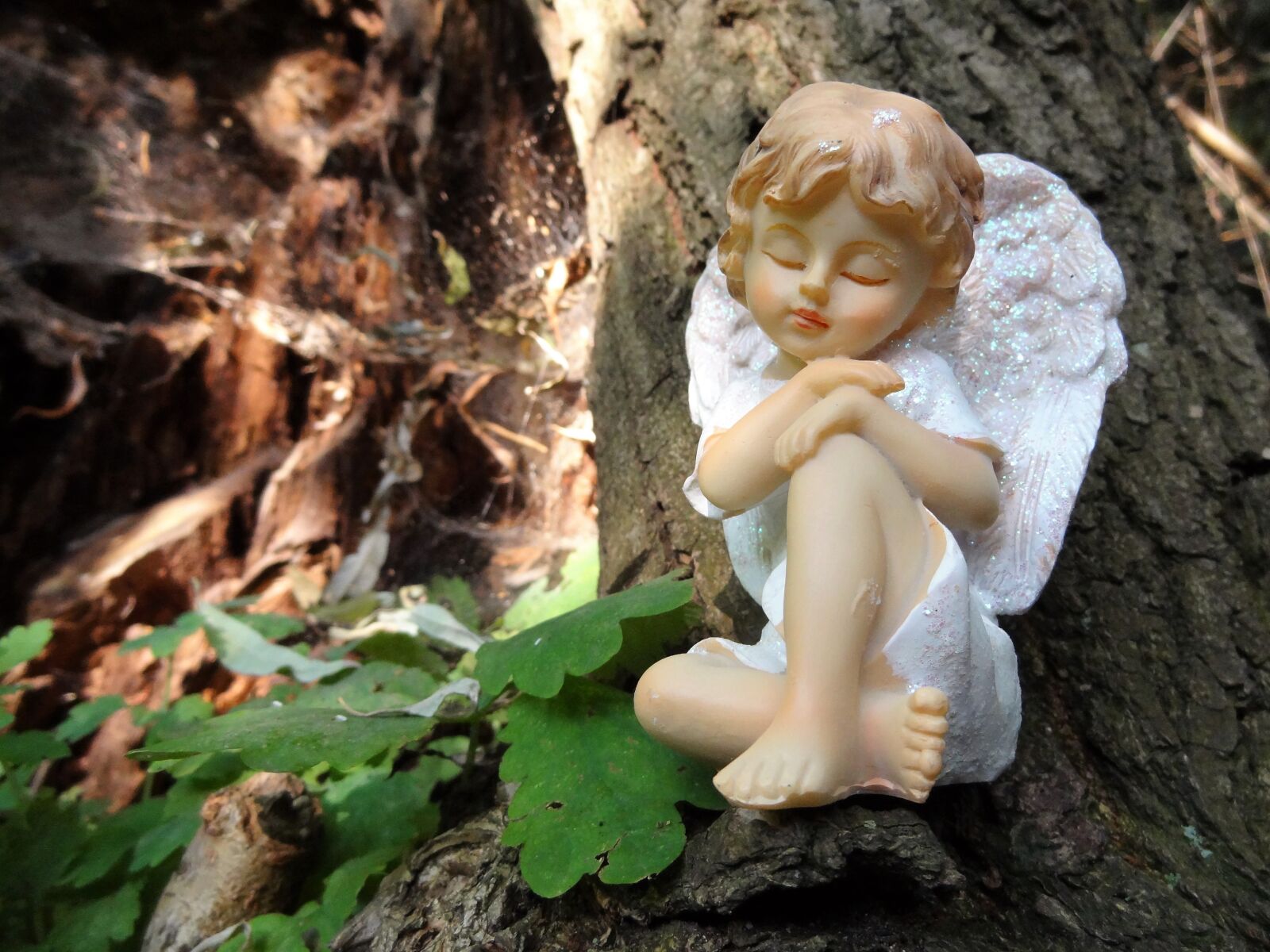 Sony Cyber-shot DSC-HX9V sample photo. Angel, thinking angel, nature photography