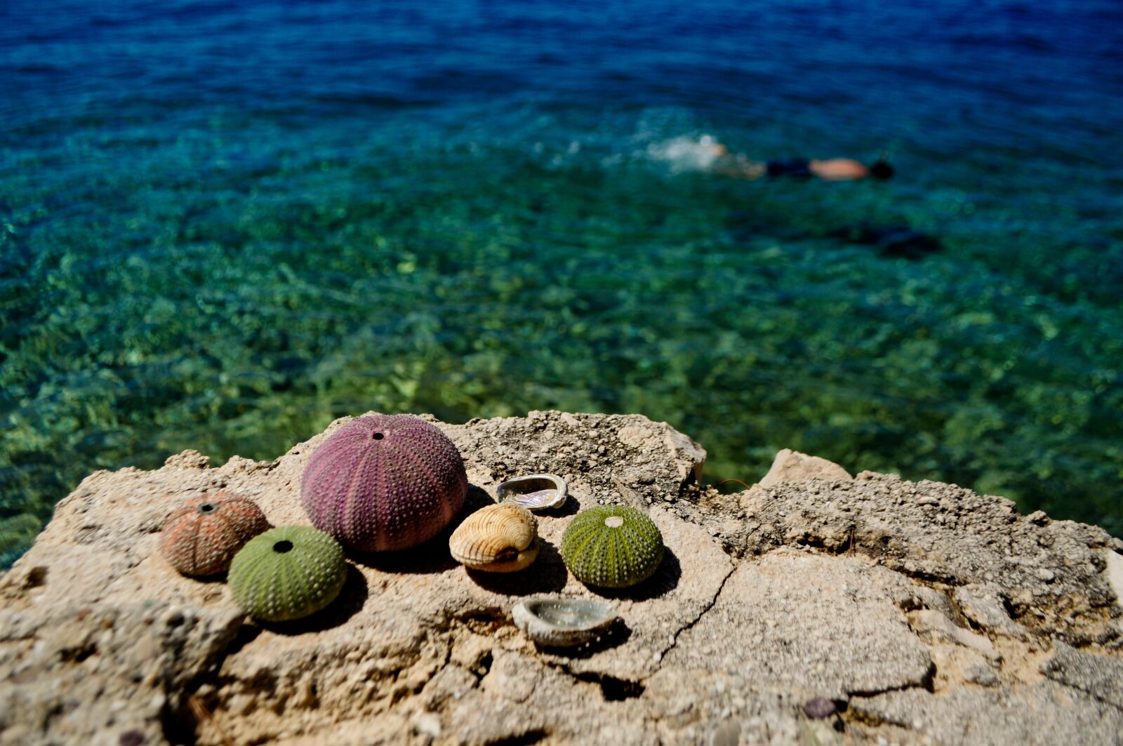 Nikon D5000 sample photo. Sea, swim, i swim photography