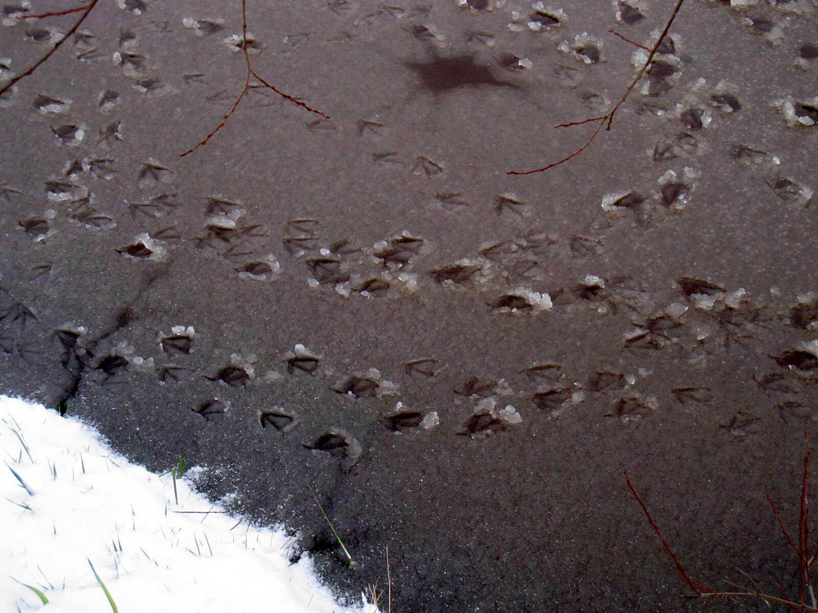 Canon DIGITAL IXUS 860 IS sample photo. Winter, ice, snow photography