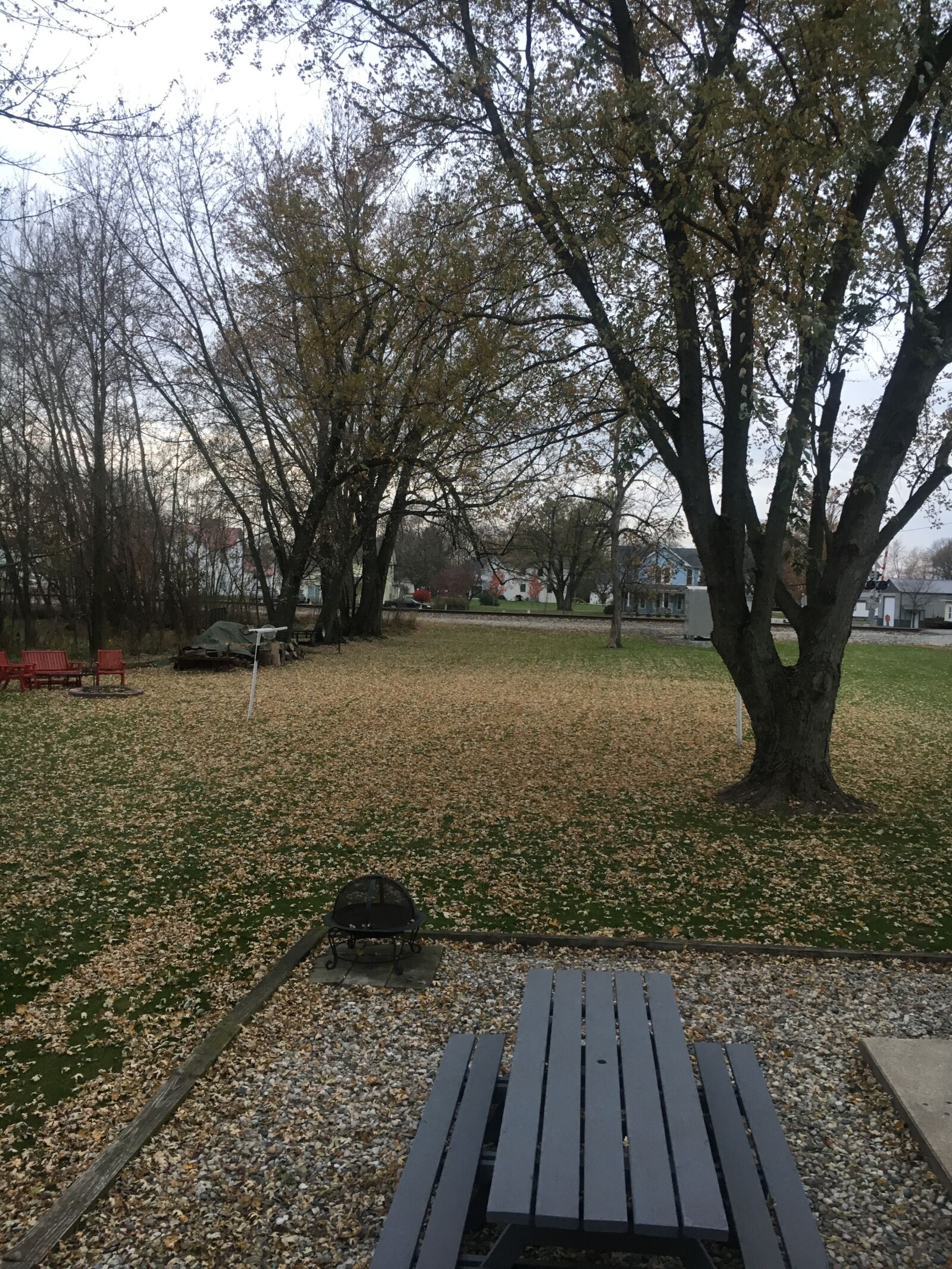 iPhone 6s back camera 4.15mm f/2.2 sample photo. Outdoor, outside, tree photography