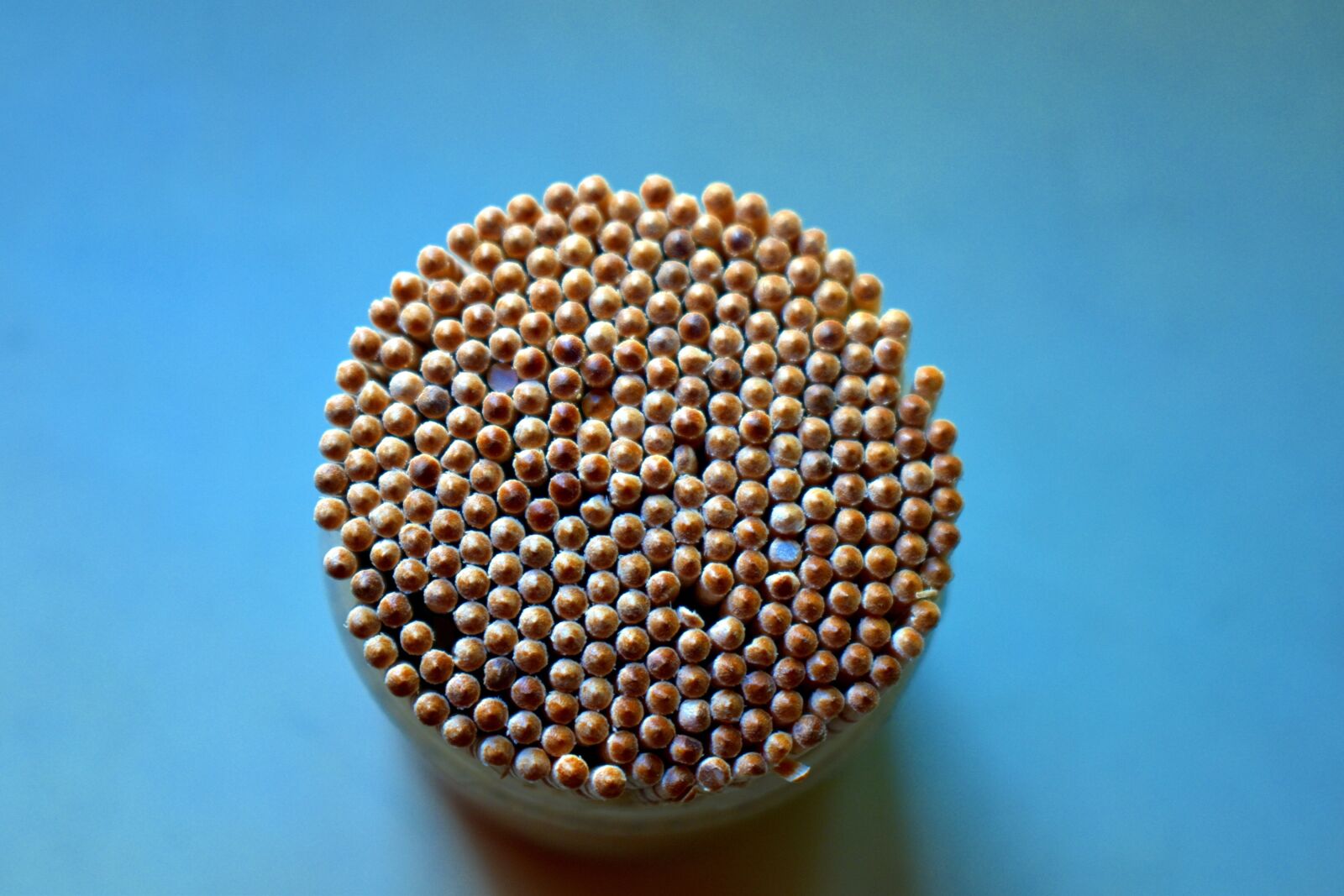 Nikon D5600 sample photo. Egg heads, toothpicks heads photography