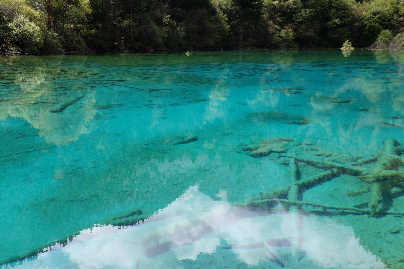 Fujifilm X100T sample photo. Jiuzhaigou, lake, sichuan photography