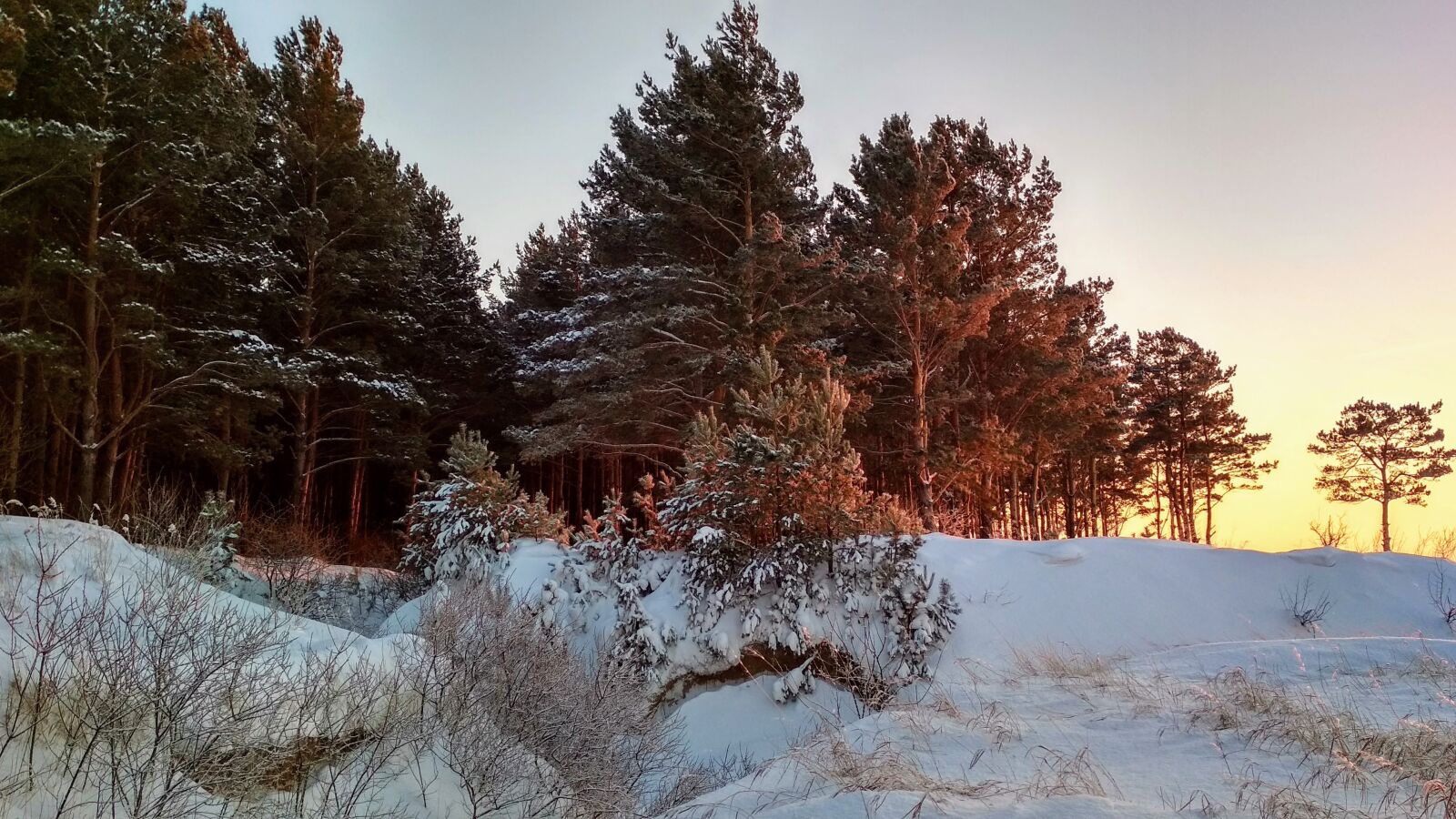 Xiaomi Redmi 4X sample photo. Winter, snow, nature photography