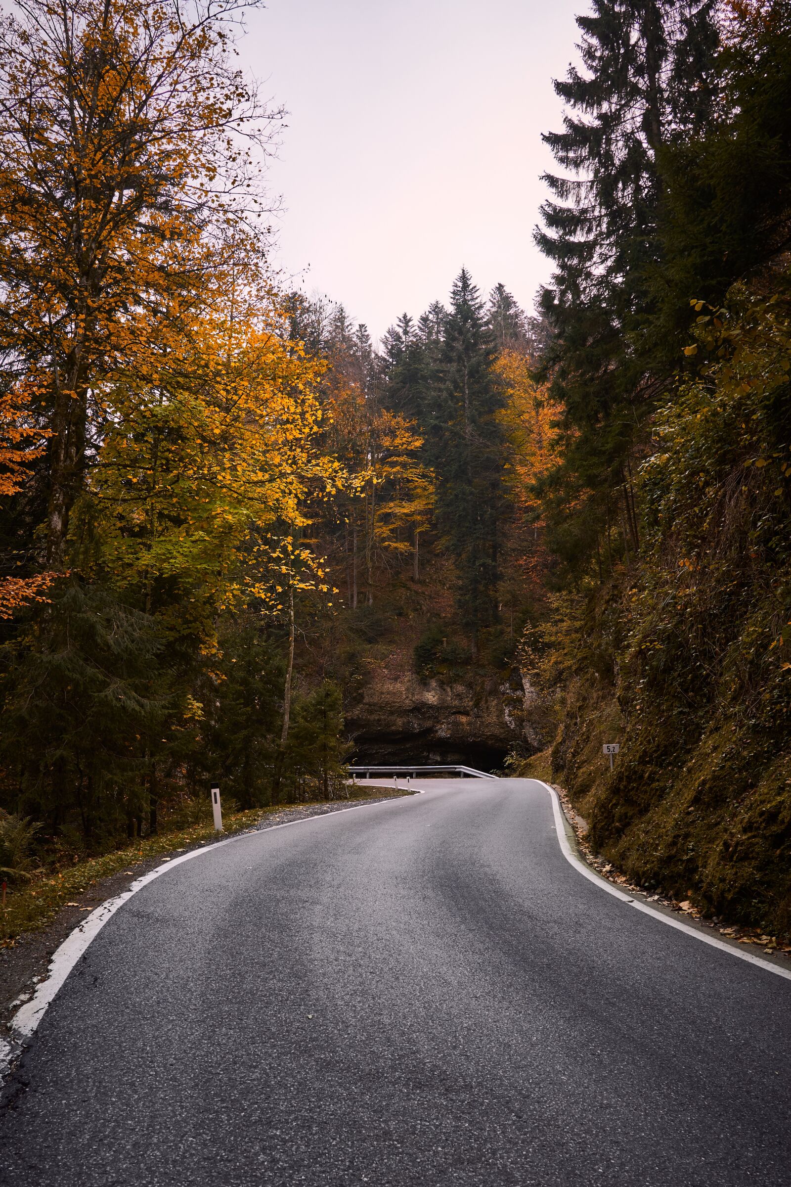 Sony a6000 + Sigma 19mm F2.8 EX DN sample photo. Autumn, leaves, road photography