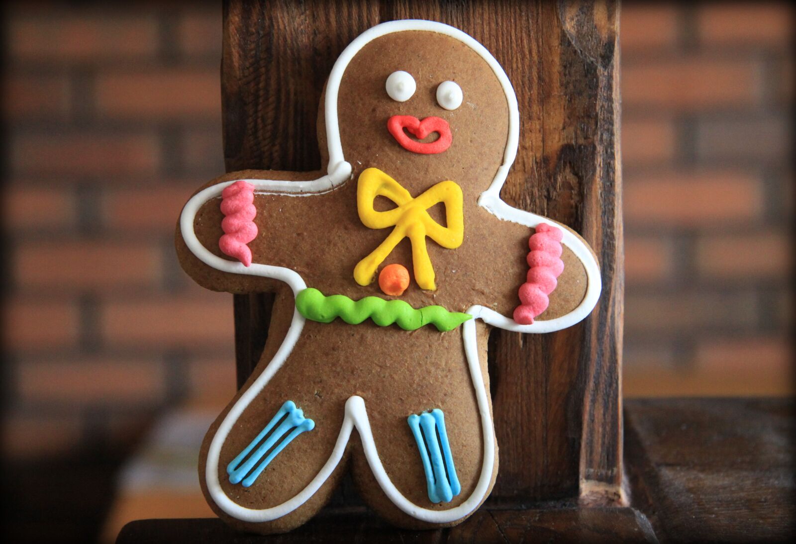 Canon EOS 50D sample photo. Gingerbread, cakes, sweet photography