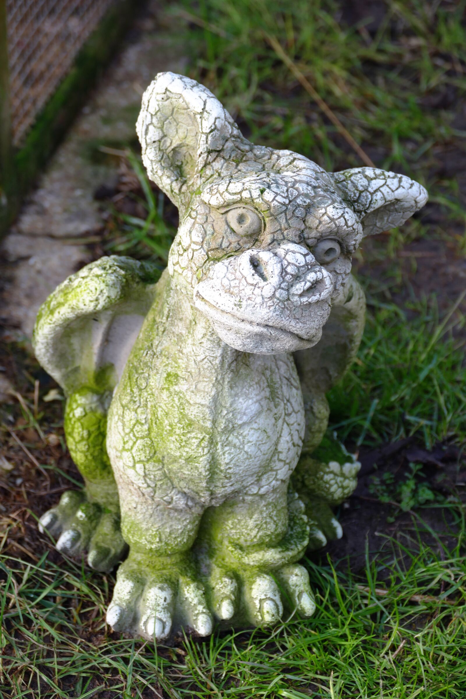 Panasonic Lumix DMC-FZ1000 sample photo. Blur, close, up, dragon photography