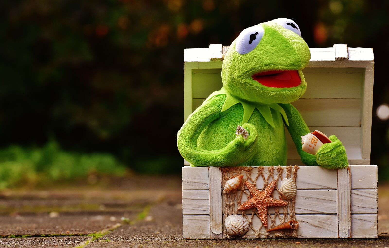 Nikon D7200 sample photo. Kermit, frog, chest photography