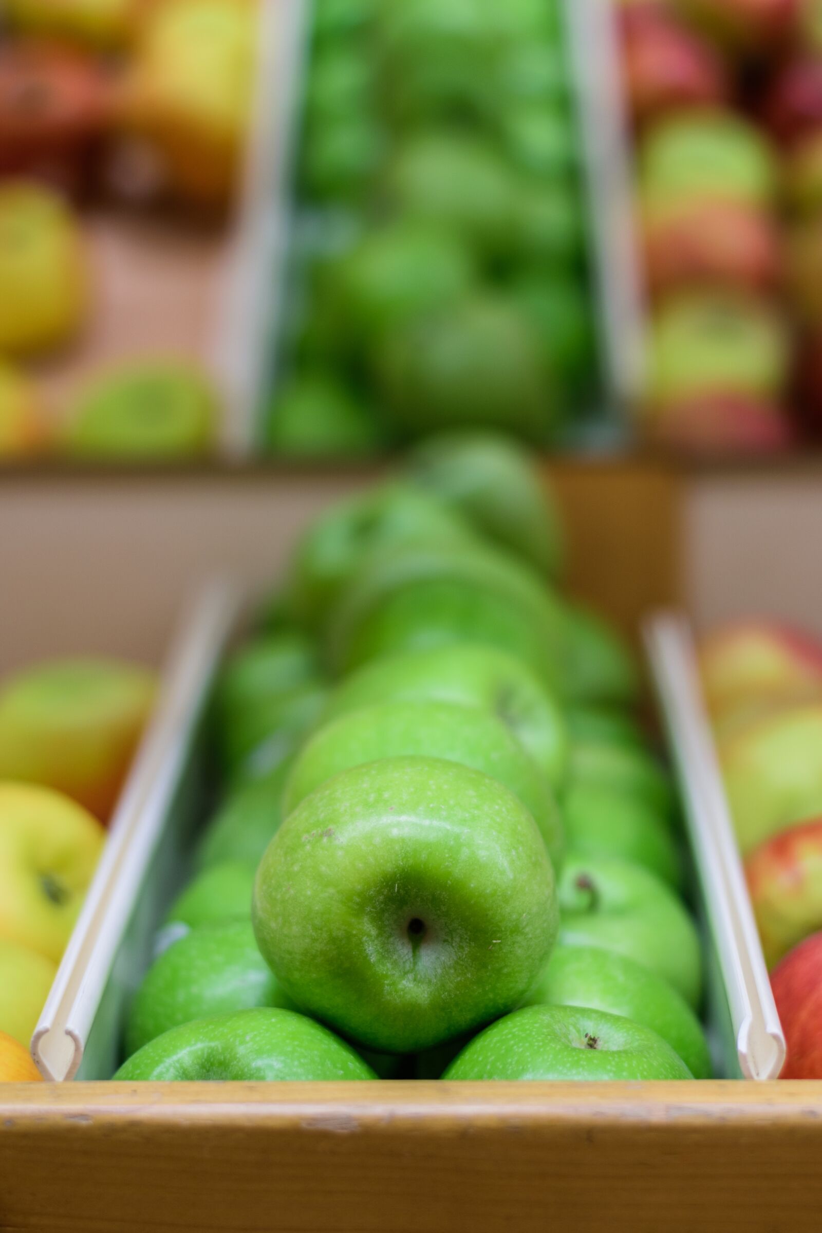 Nikon D5300 sample photo. Apples, fruit, fall photography