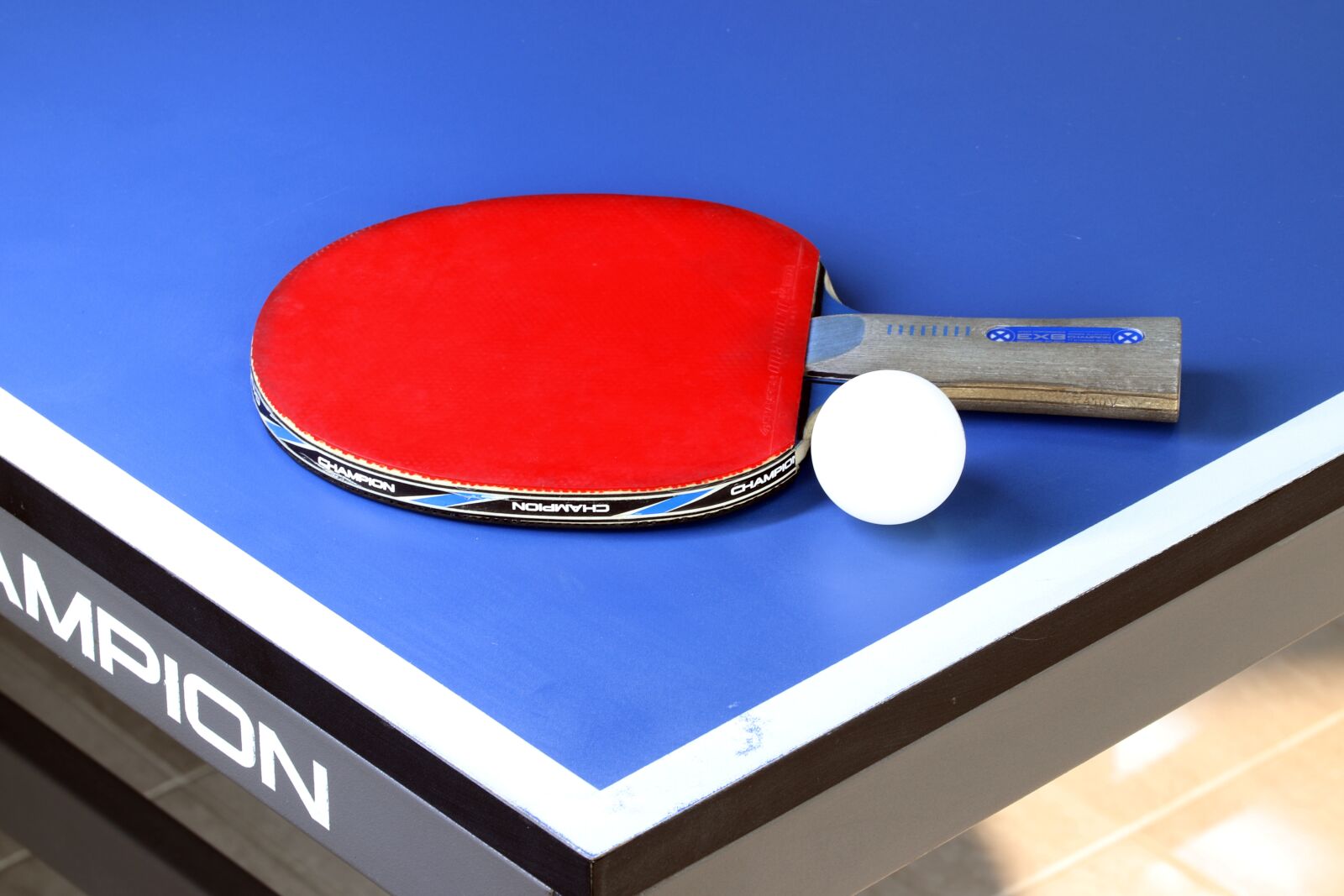 Canon EOS 800D (EOS Rebel T7i / EOS Kiss X9i) sample photo. Table tennis, sport, games photography