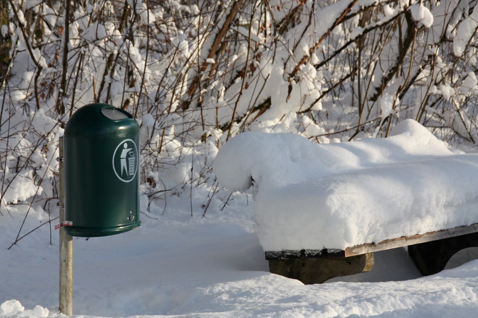Canon EOS 450D (EOS Rebel XSi / EOS Kiss X2) sample photo. Winter, snow, snow landscape photography