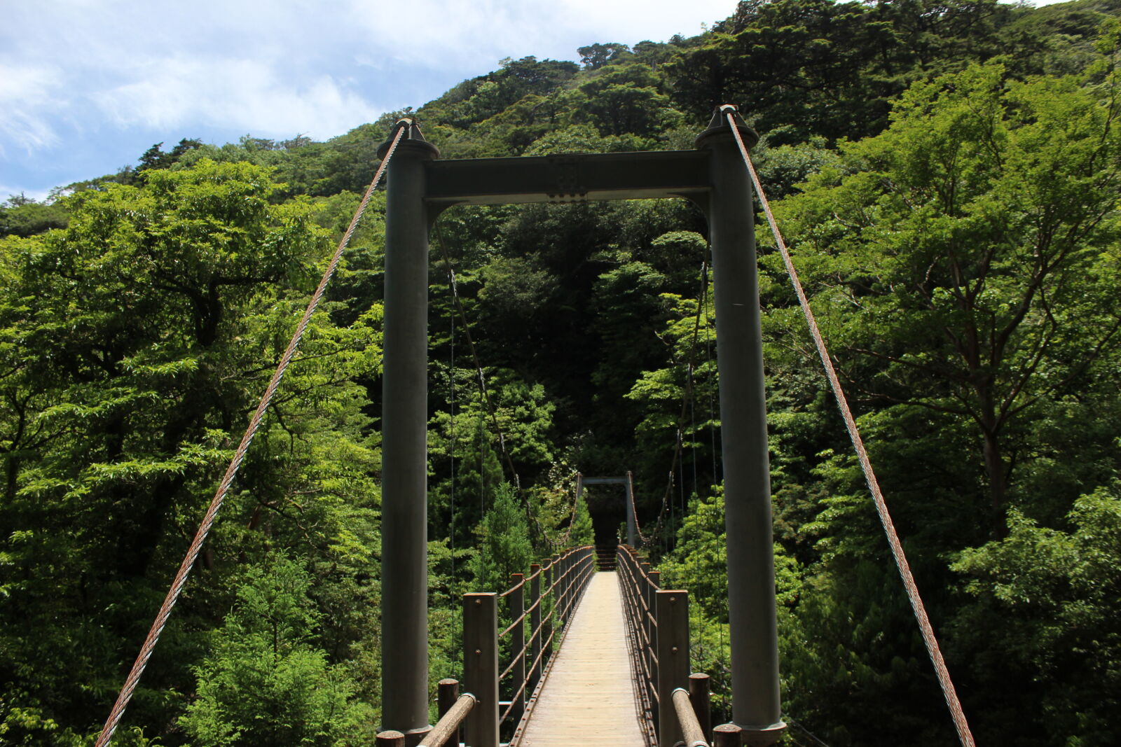 Canon EOS 600D (Rebel EOS T3i / EOS Kiss X5) sample photo. Suspension, bridge photography
