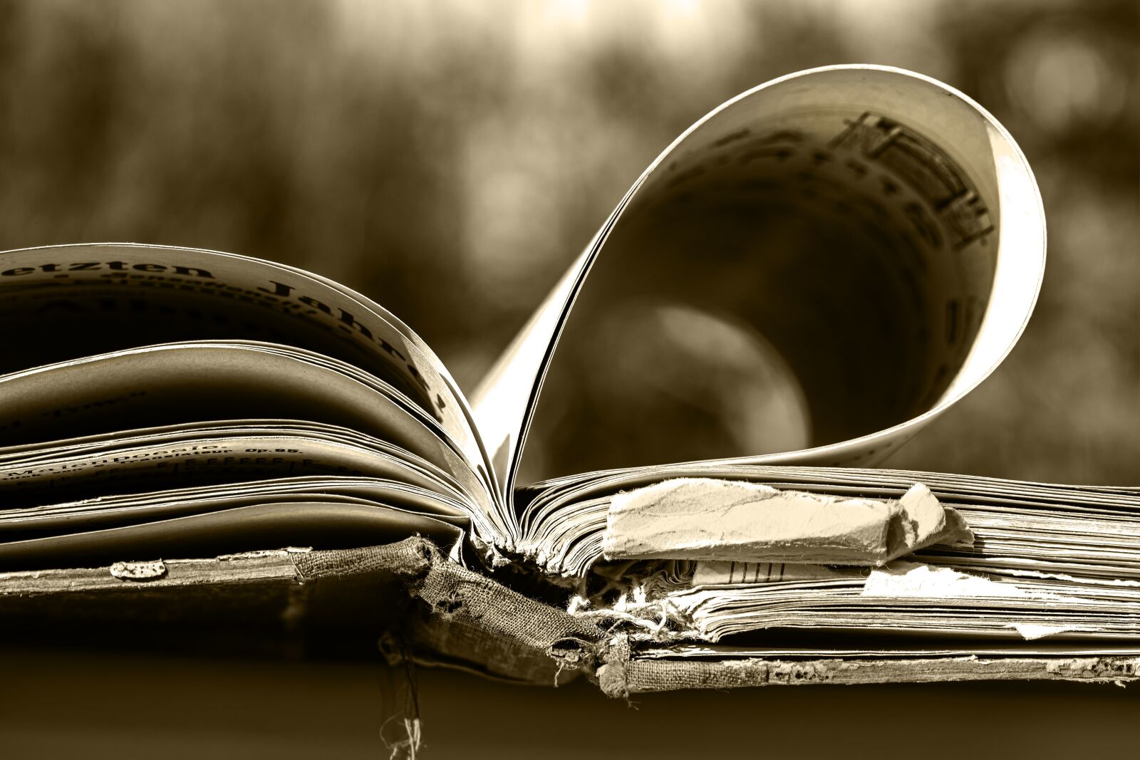 Nikon D5600 sample photo. Music book, germain, notes photography