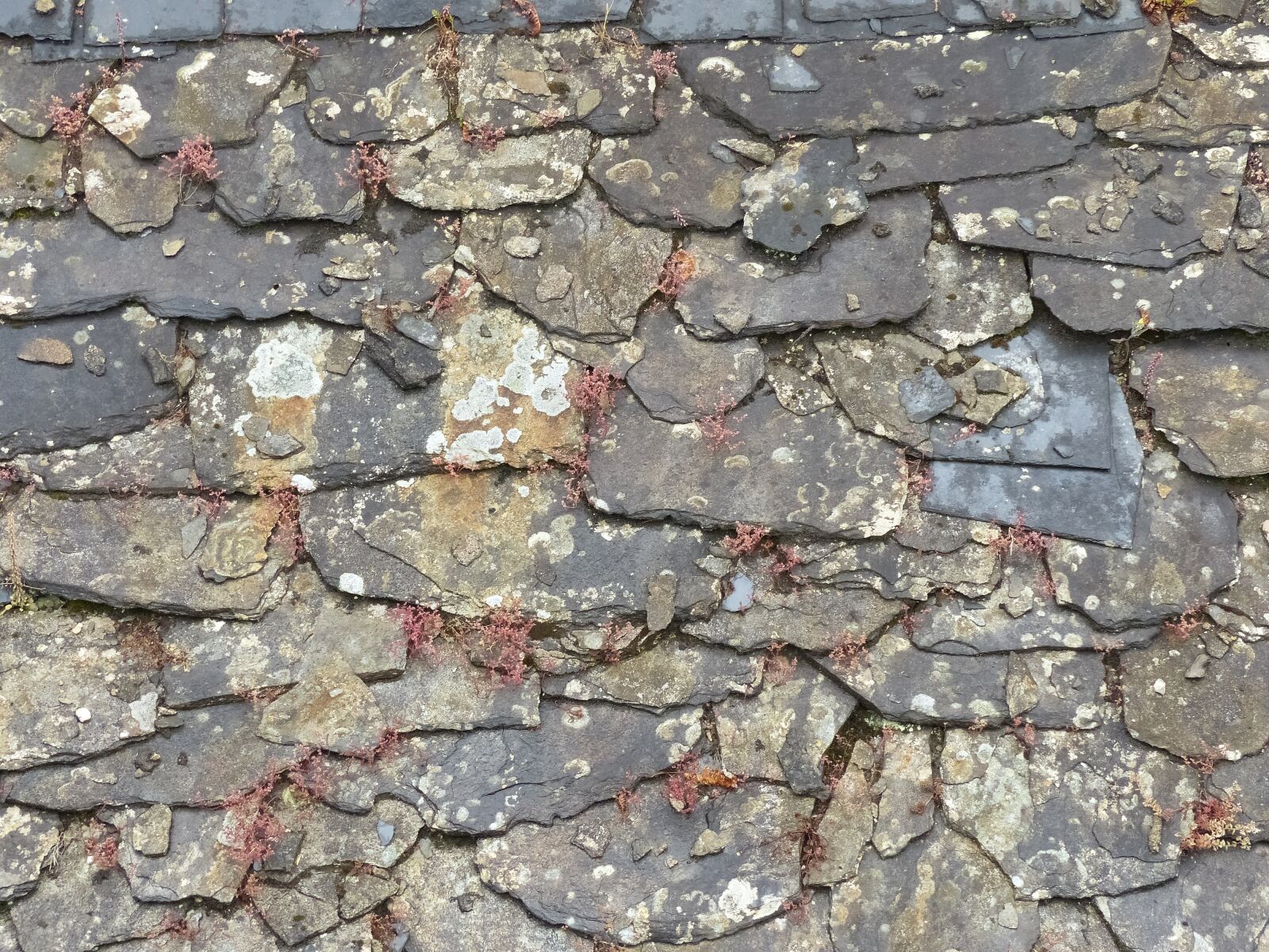 Panasonic Lumix DMC-FZ200 sample photo. Slate, roof tiles, roof photography