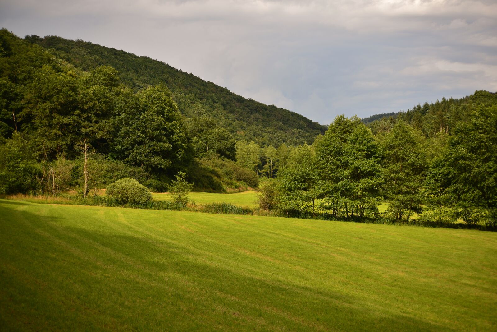Nikon D600 sample photo. Landscape, hills, trees photography