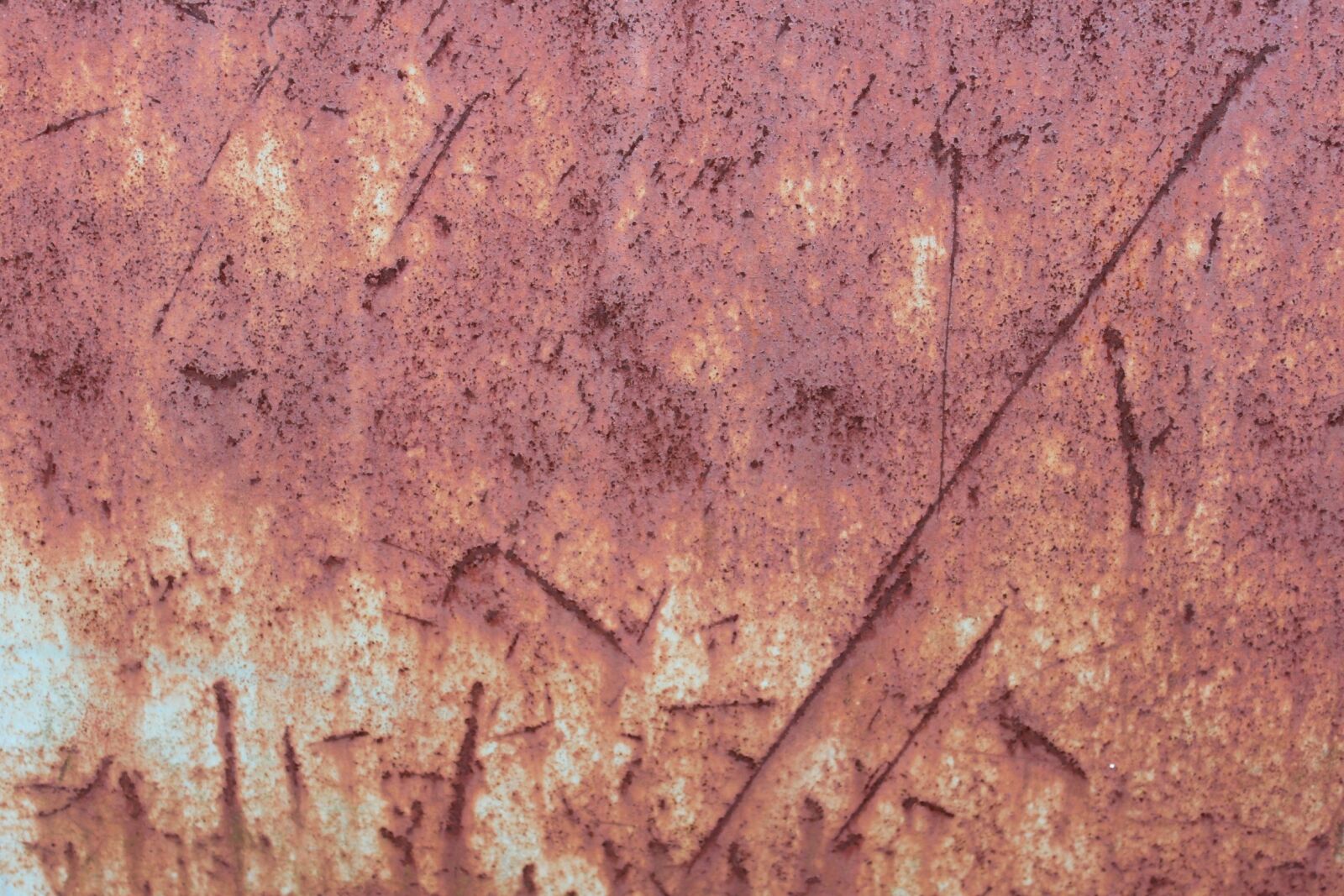 Canon EOS 500D (EOS Rebel T1i / EOS Kiss X3) sample photo. Rust, texture, grunge photography