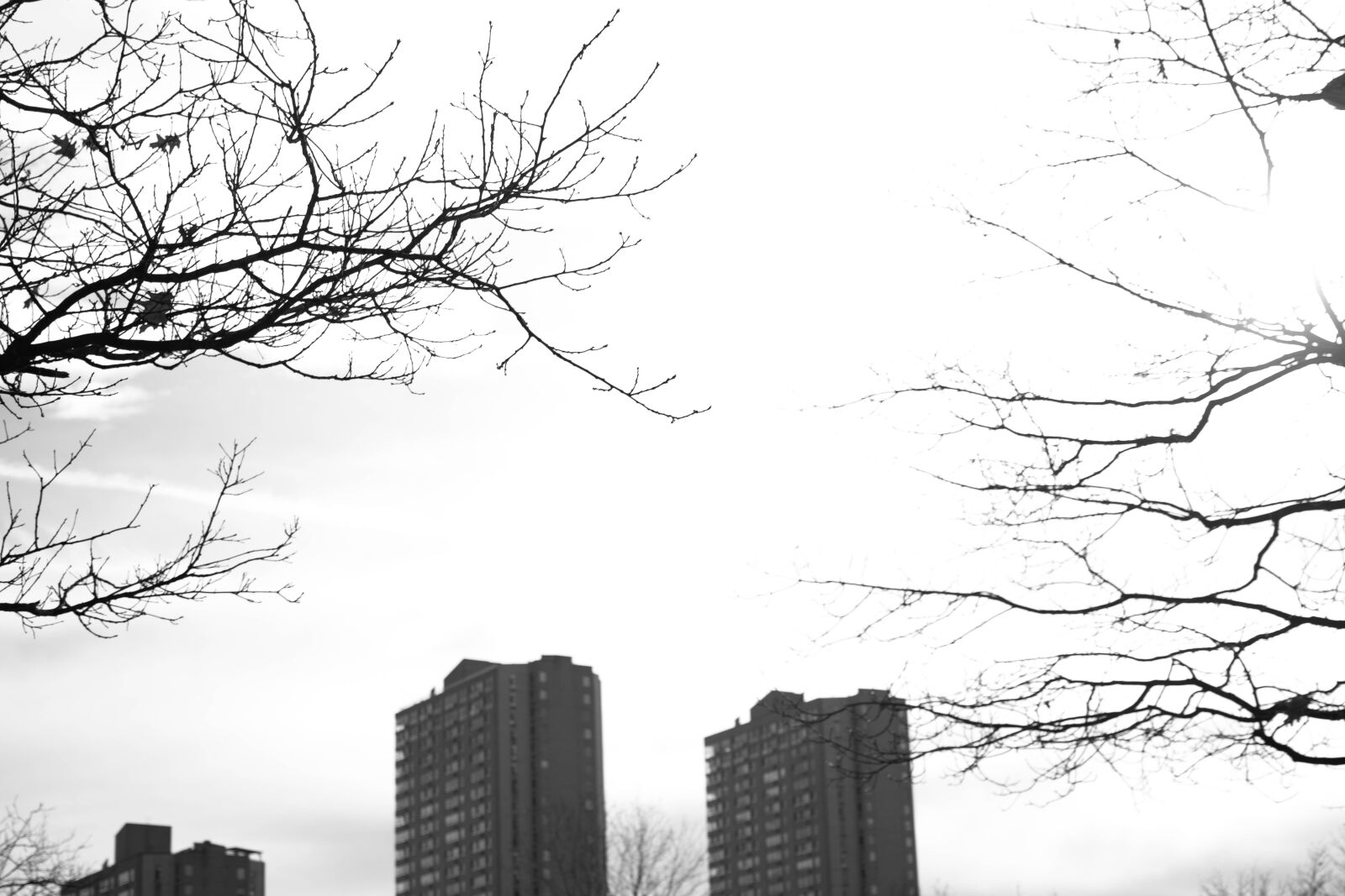 Nikon D7200 sample photo. Canada day, toronto, architecture photography
