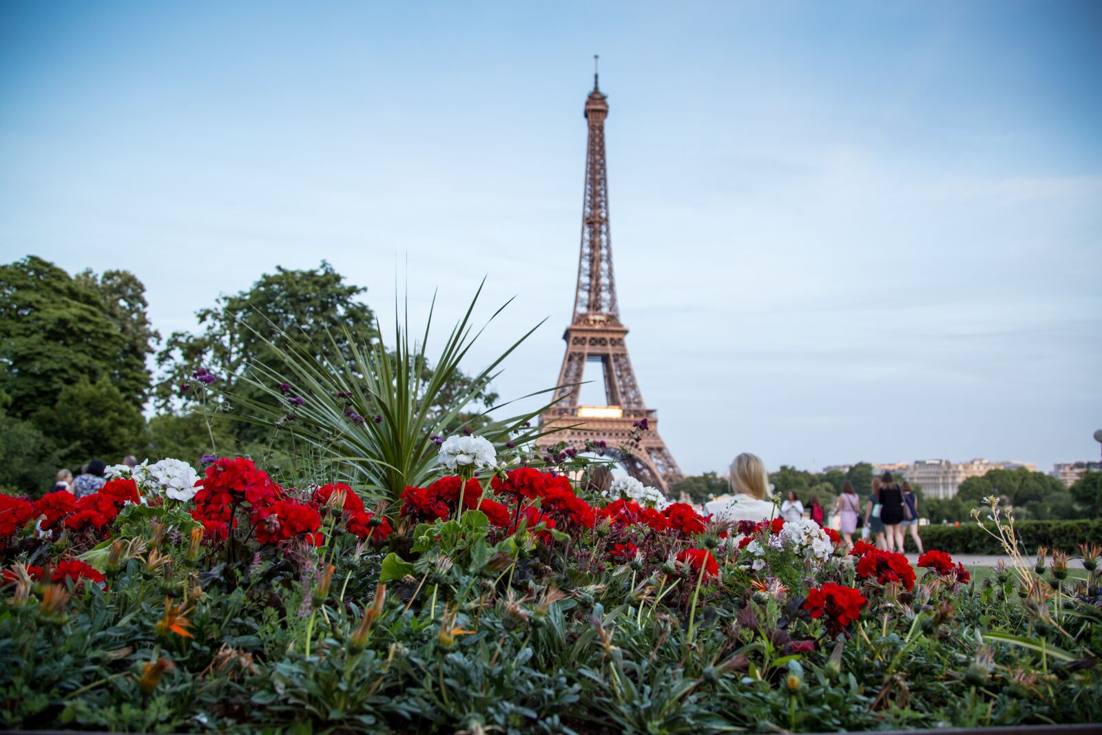 Canon EOS 6D + Canon EF 24-105mm F4L IS USM sample photo. Paris, eiffel tower, flowers photography
