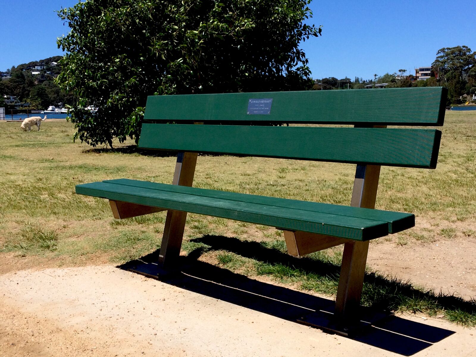 iPhone 5s back camera 4.15mm f/2.2 sample photo. Park bench, bench, park photography