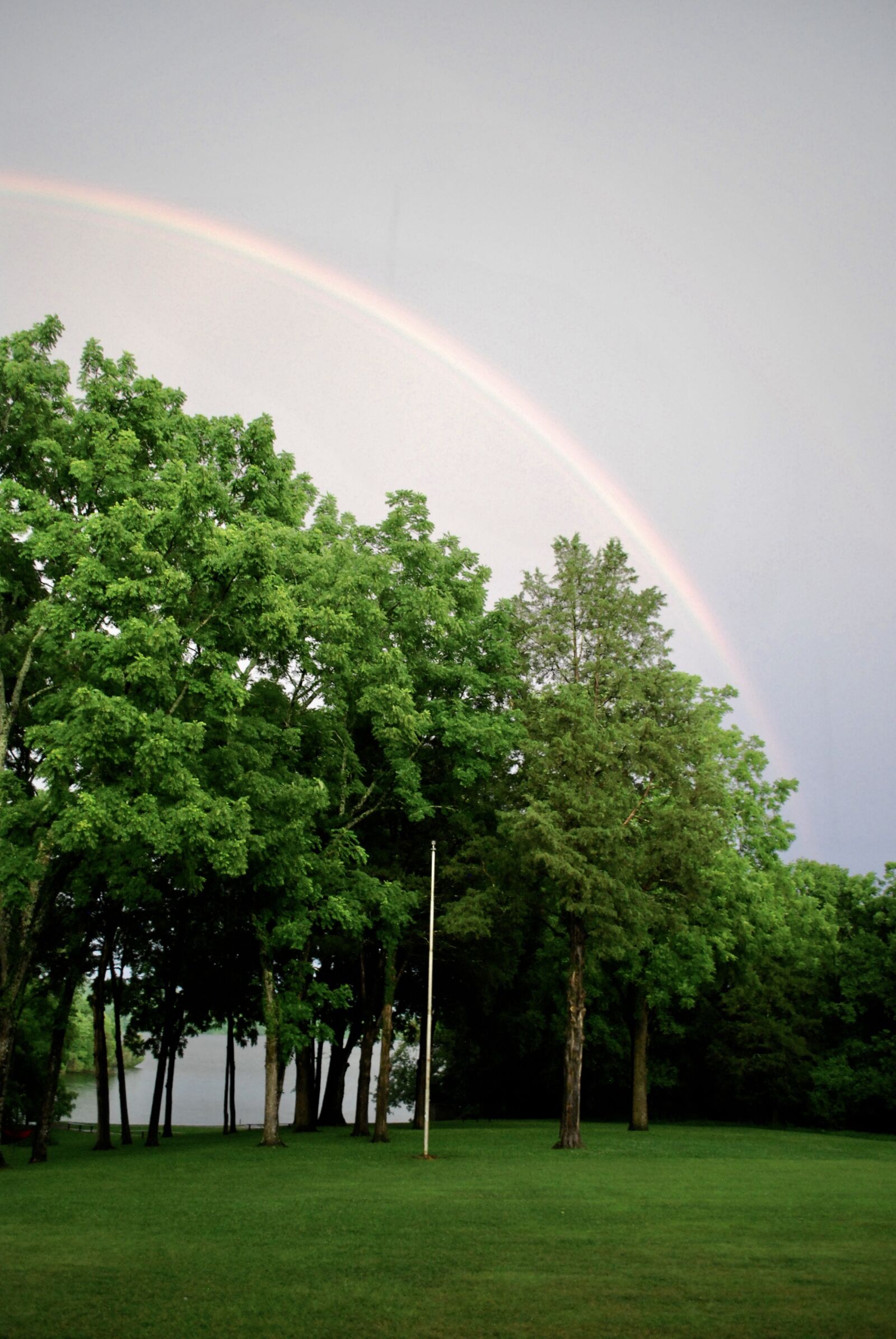 Nikon D60 sample photo. Trees, nature, rainbow photography