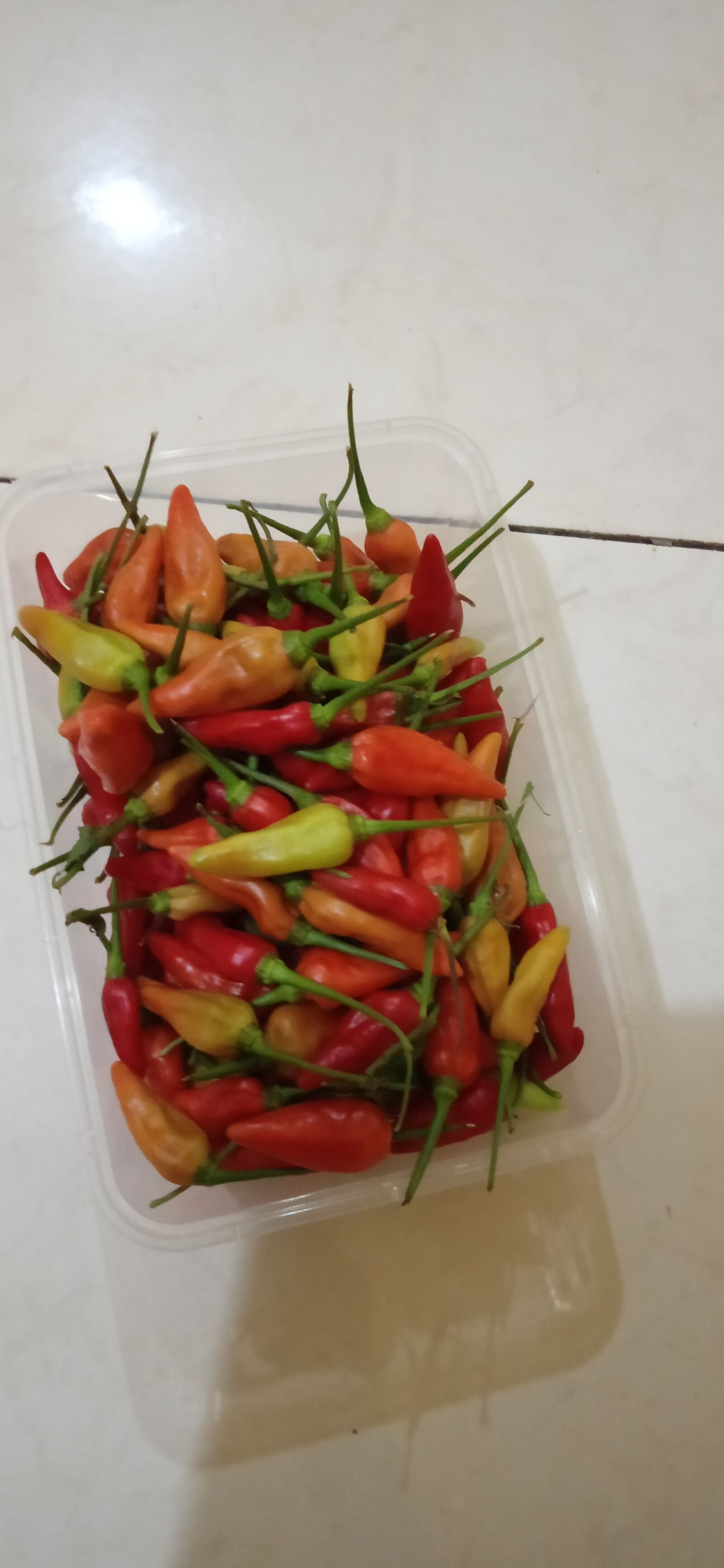 Realme C2 sample photo. Chili, pepper, hot photography