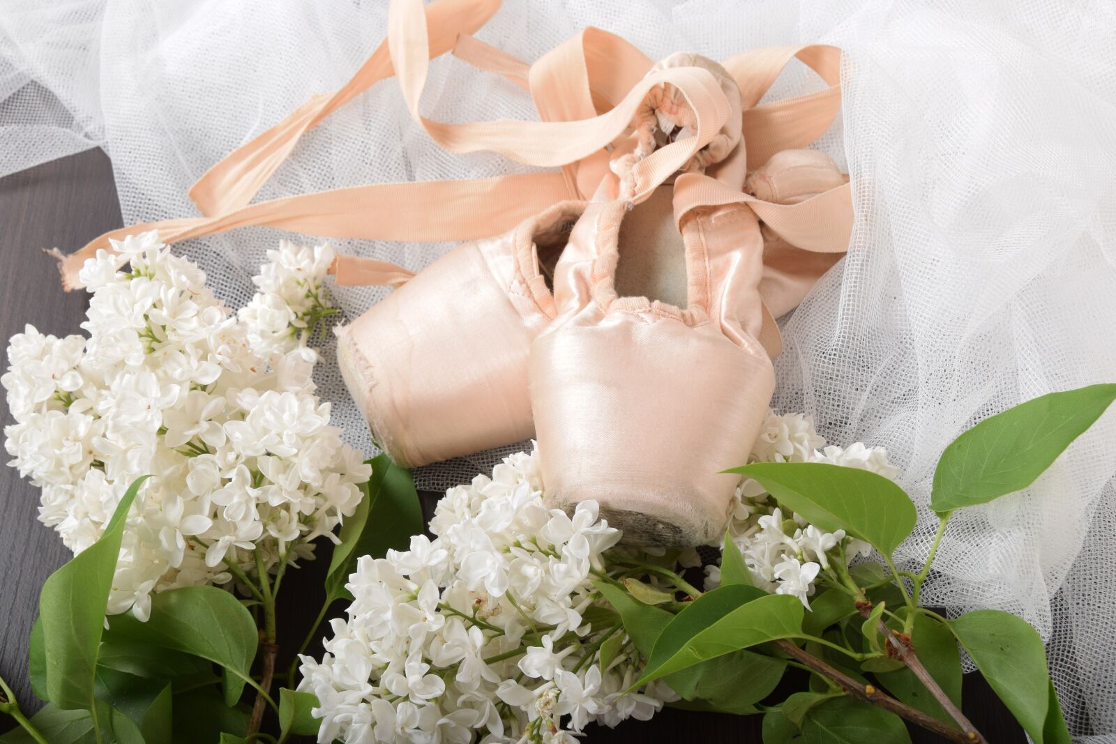 Nikon D3300 sample photo. Old, classic, dance photography