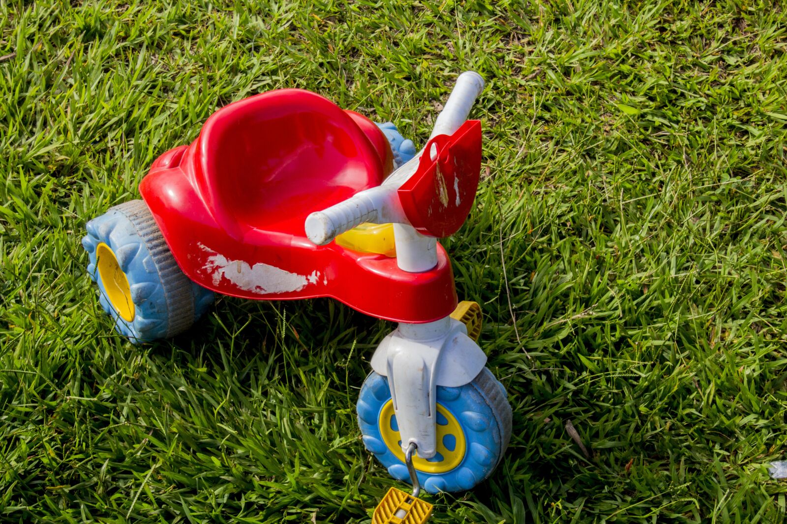 Canon EOS 700D (EOS Rebel T5i / EOS Kiss X7i) sample photo. Lawn, summer, field photography
