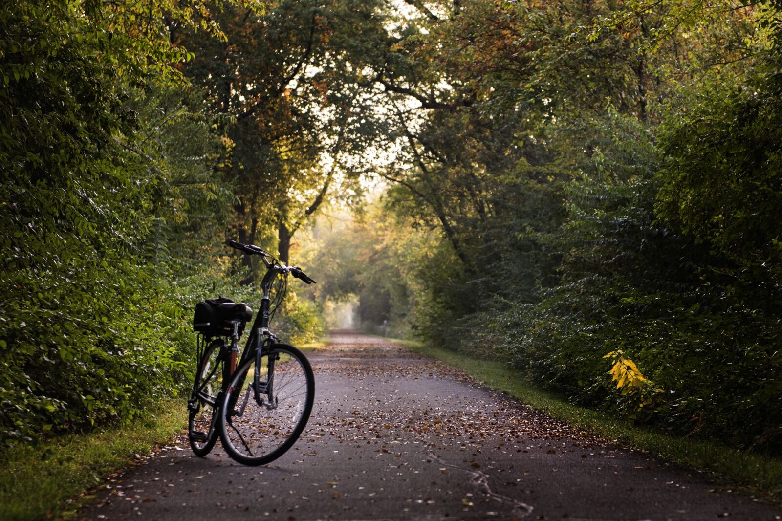 Nikon D810 sample photo. Bike, trail, bicycle photography