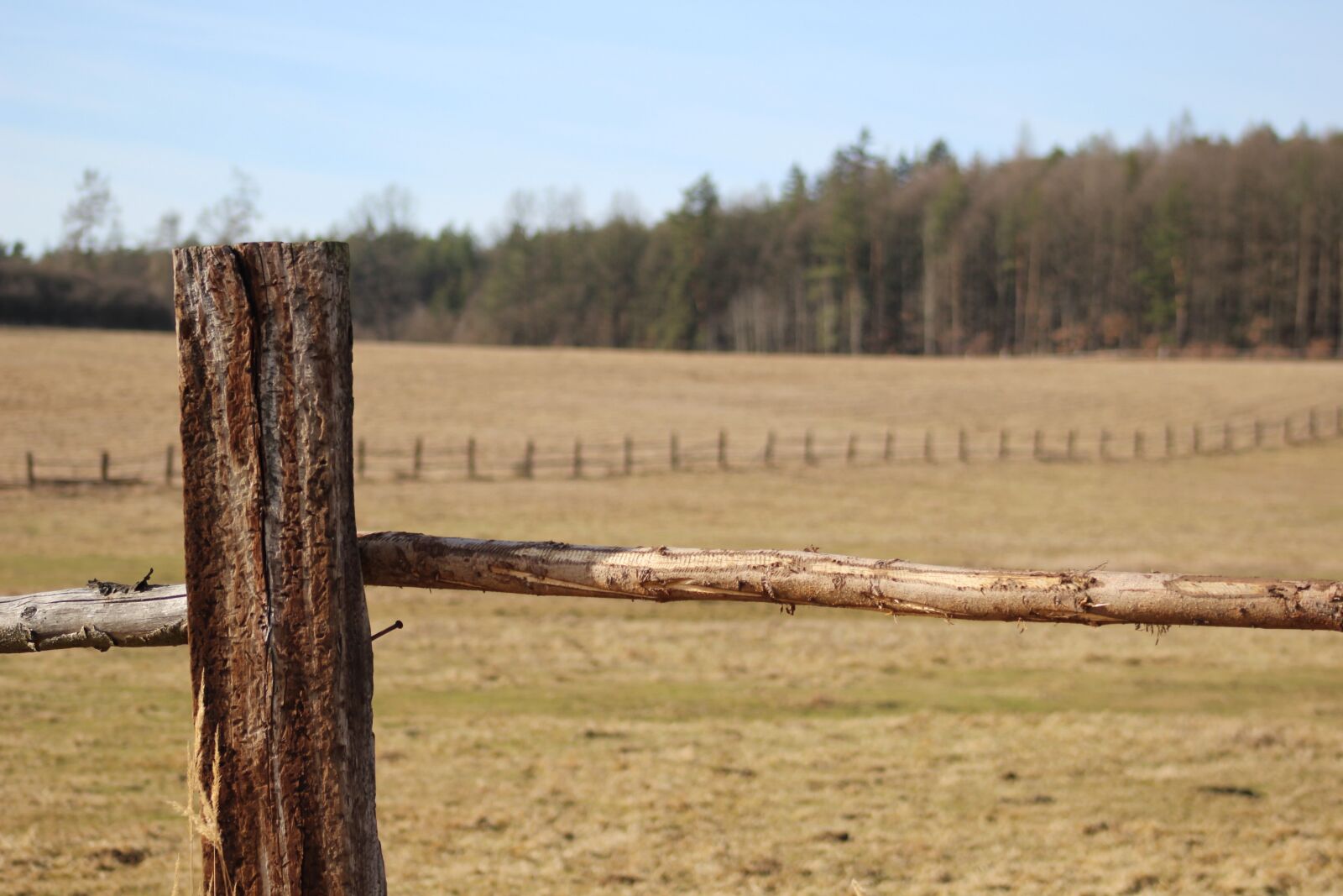 Canon EF 75-300mm f/4-5.6 sample photo. Pasture, pen, meadow photography
