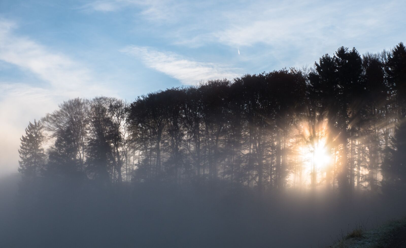 Panasonic Lumix DC-G9 sample photo. Fog, sun, forest photography