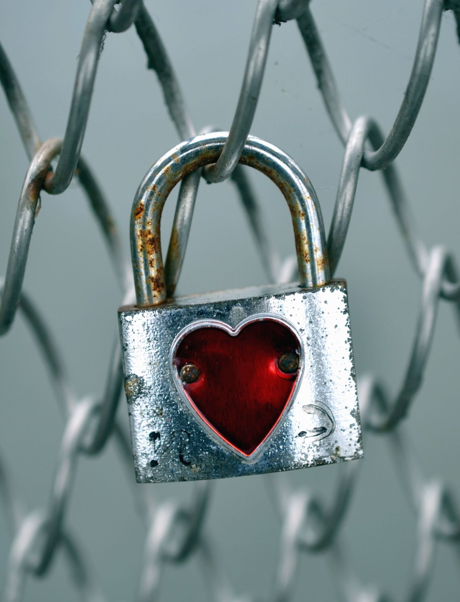 Nikon D5100 sample photo. Wire, padlock, heart, love photography