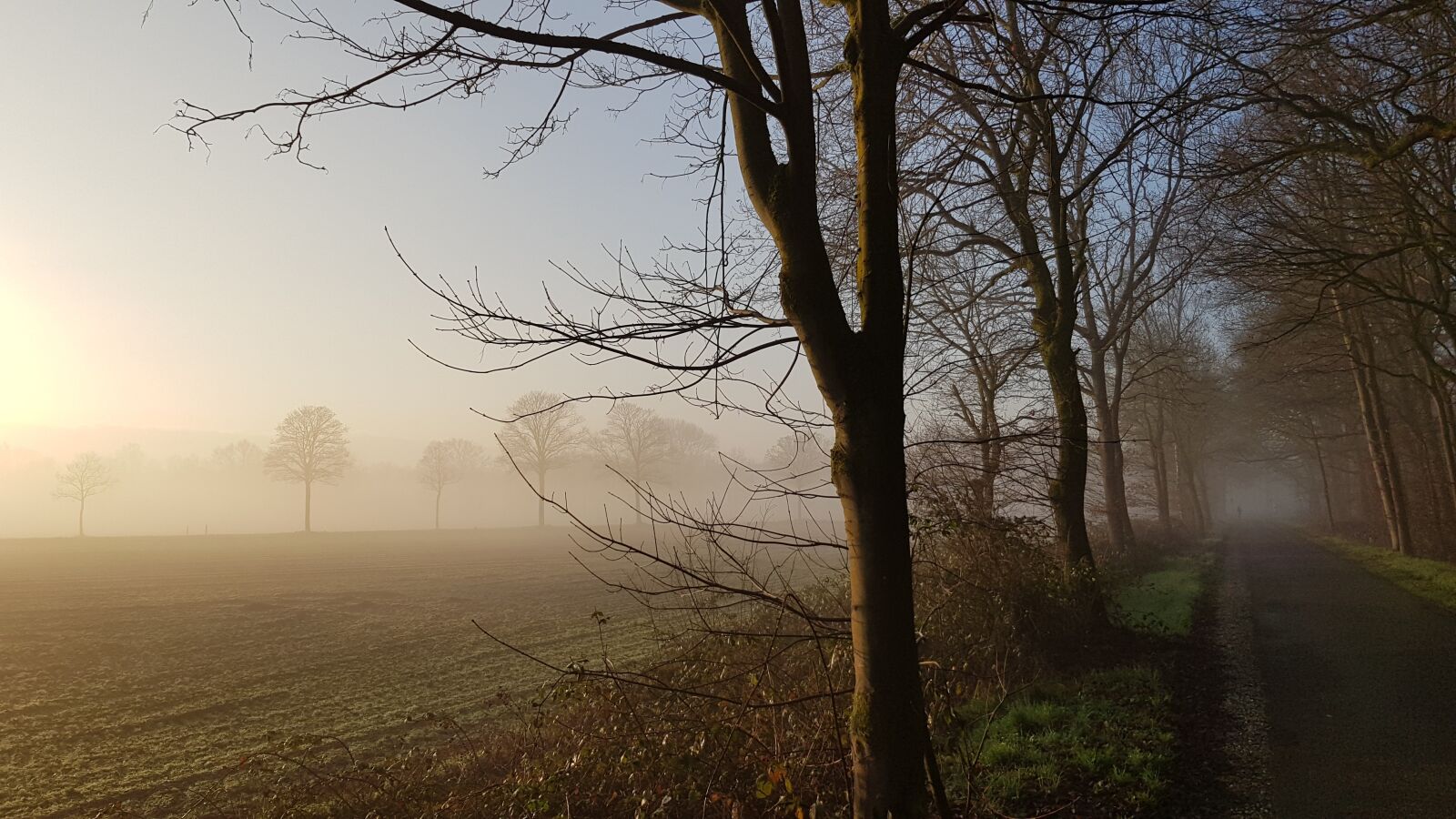 Samsung Galaxy S8+ sample photo. Sunrise, sun, landscape photography