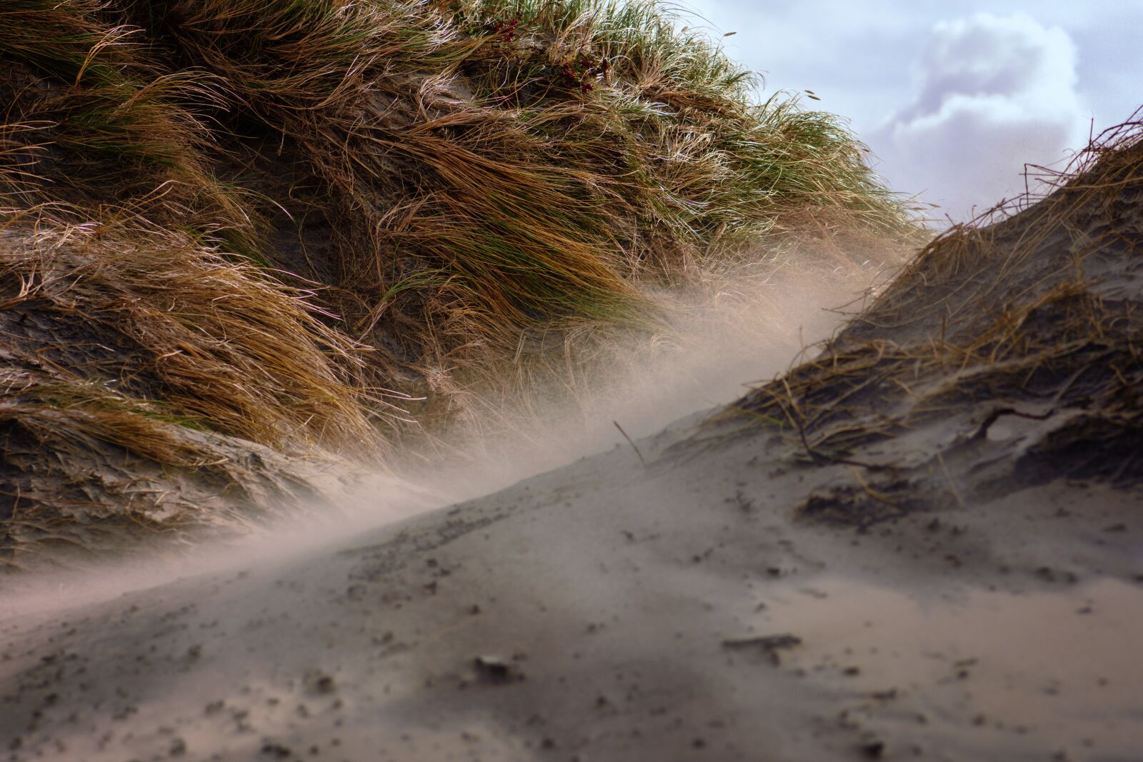 Nikon D7200 sample photo. North sea, beach, dune photography