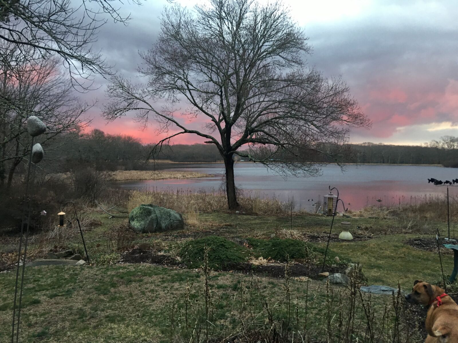 iPhone 6s Plus back camera 4.15mm f/2.2 sample photo. Sunrise, pond, landscape photography