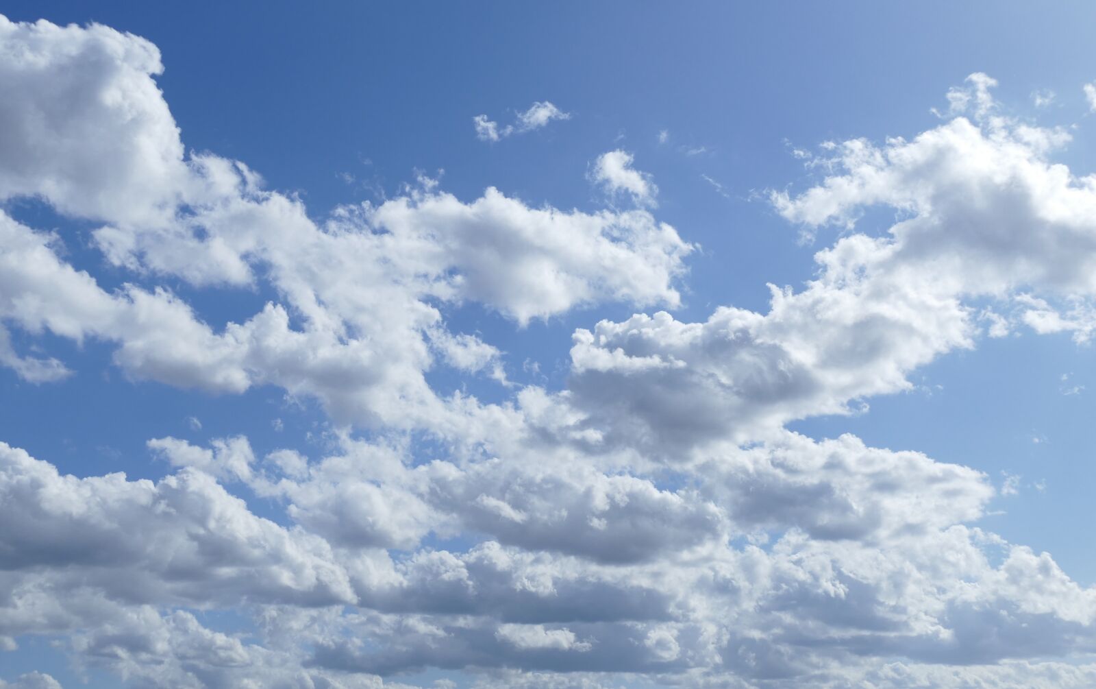 Panasonic Lumix DMC-FZ1000 sample photo. Clouds, background, texture photography