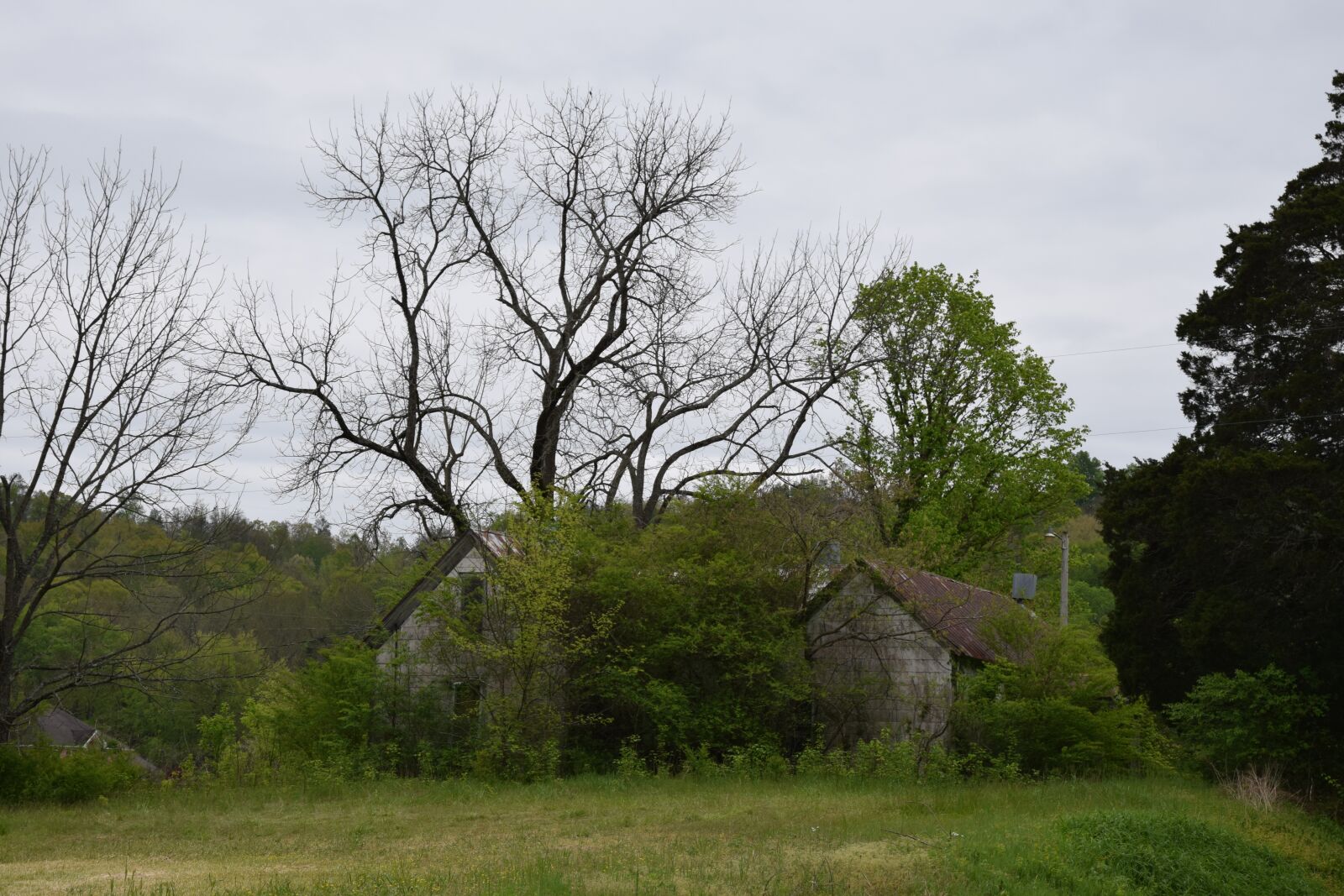 Nikon D3300 sample photo. Abandoned, farmhouse, farm photography