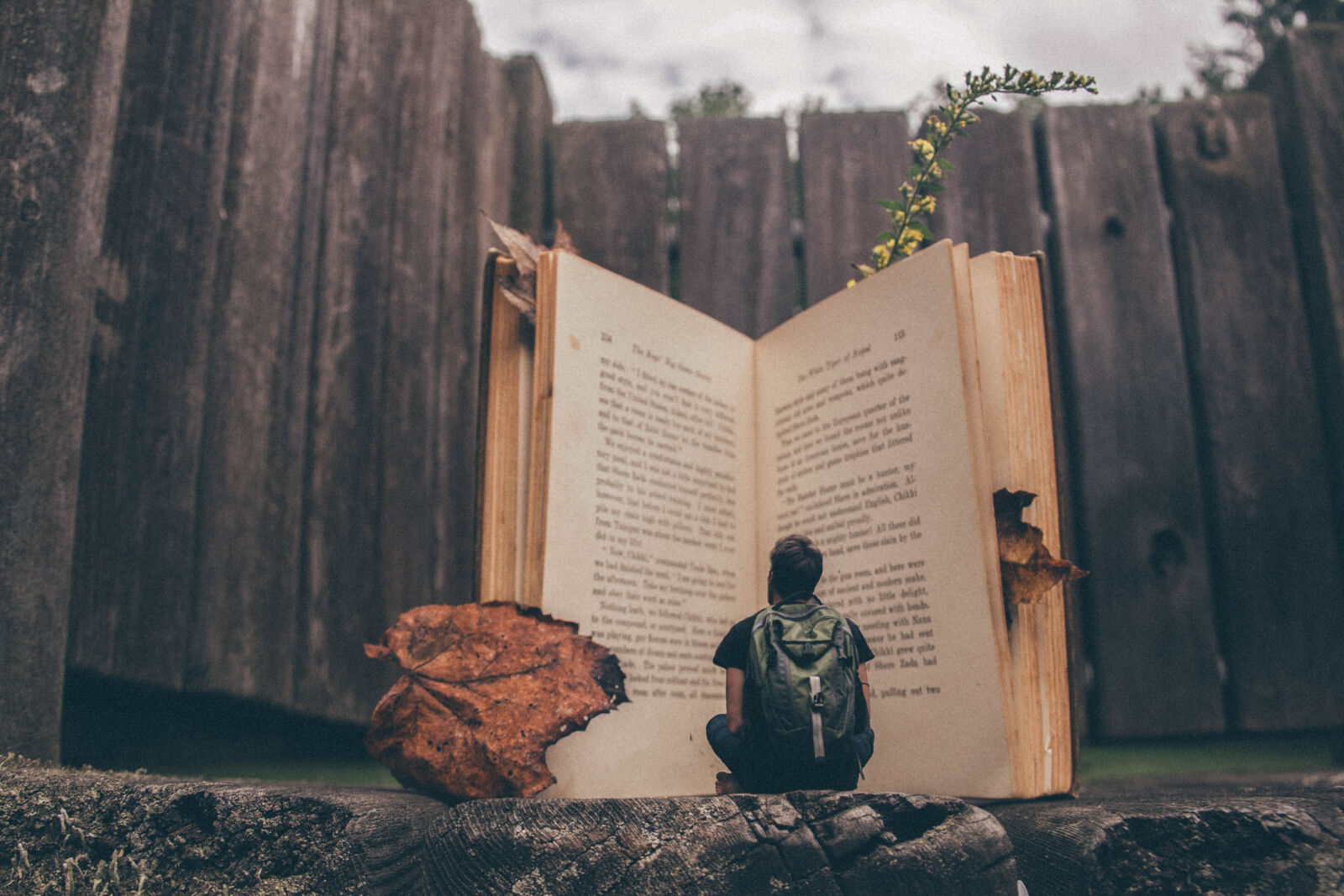 Canon EOS 60D sample photo. Backpack, book, leaf, leaves photography