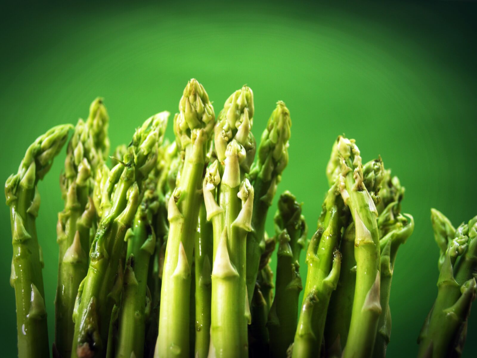 Olympus E-300 (EVOLT E-300) sample photo. Agriculture, asparagus, bunch, close photography