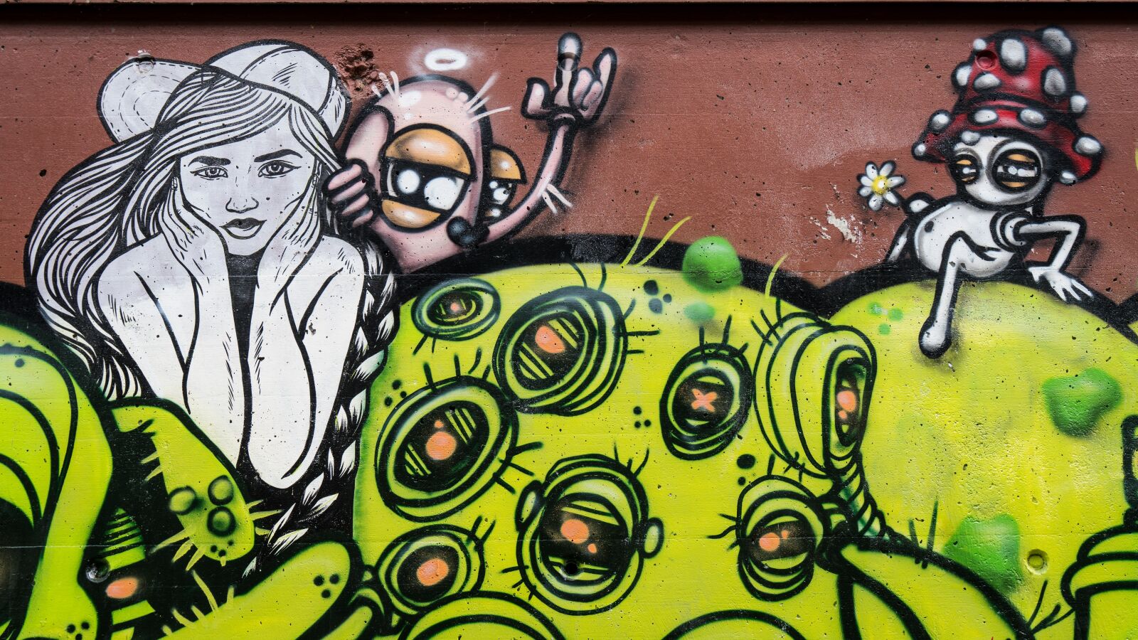 Sony a6500 + Sony Vario-Tessar T* E 16-70mm F4 ZA OSS sample photo. Graffiti, decoration, woman photography