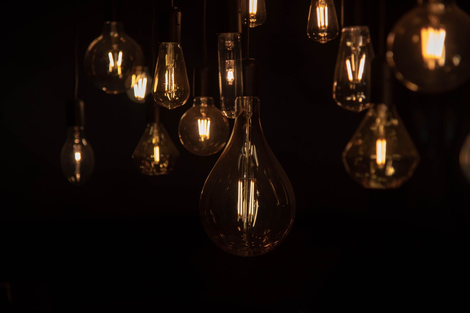 Nikon D750 sample photo. Light, lamp, light bulb photography