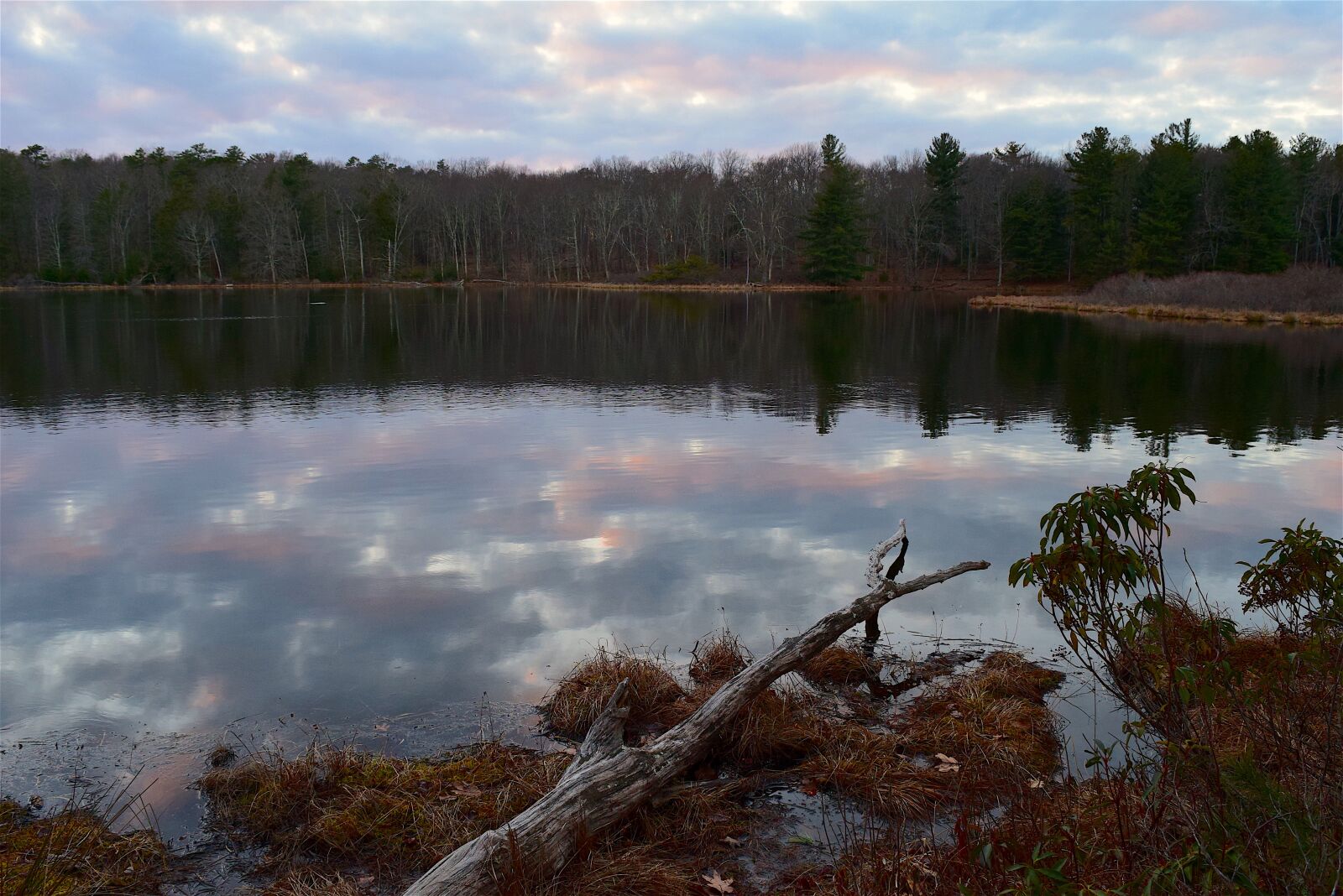 Nikon D3300 sample photo. Sunset, lake, trees photography