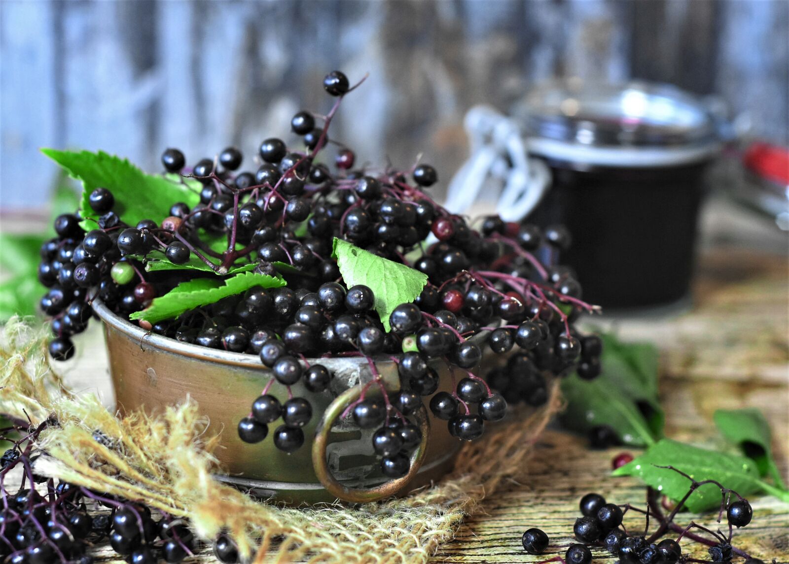 Nikon D7200 sample photo. Elder, elderberries, berries photography